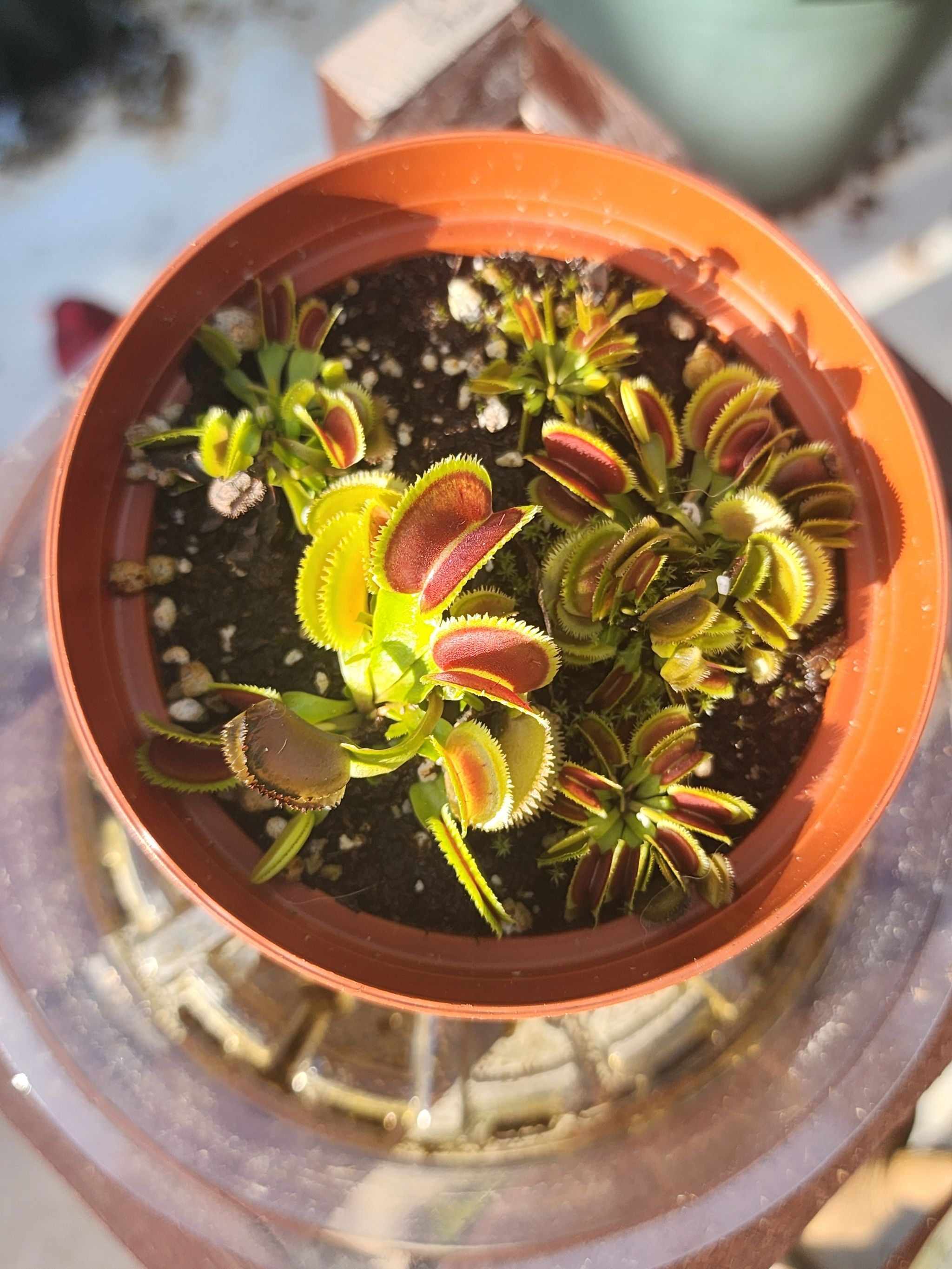 Photo from the post