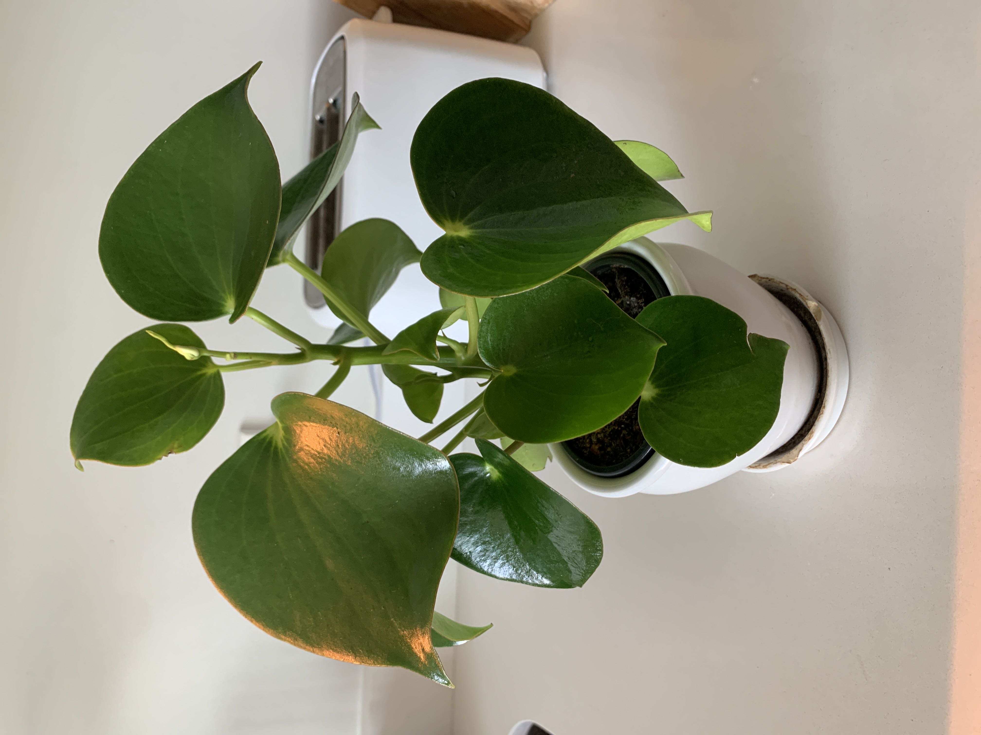Photo from the post