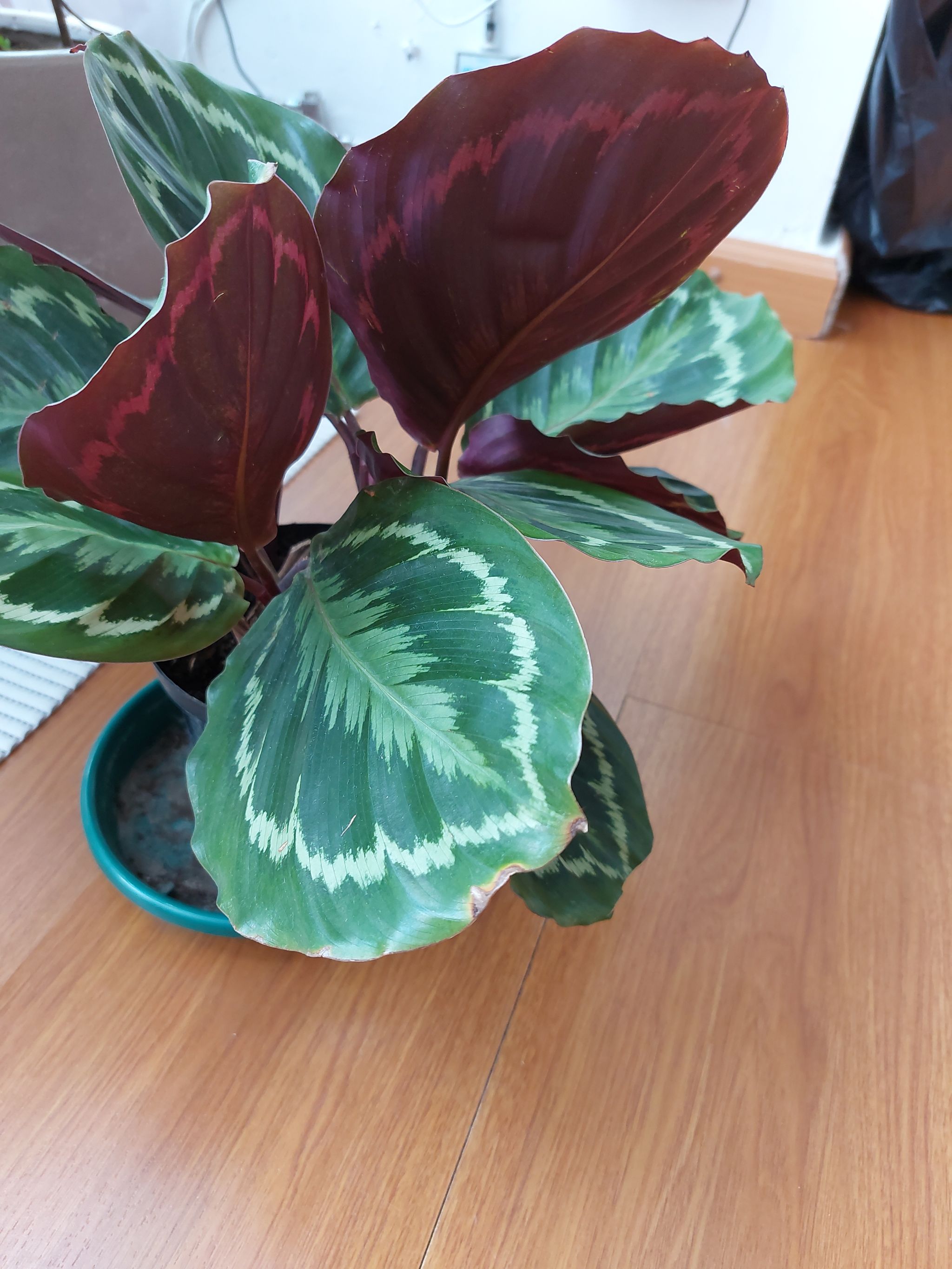 Photo from the post