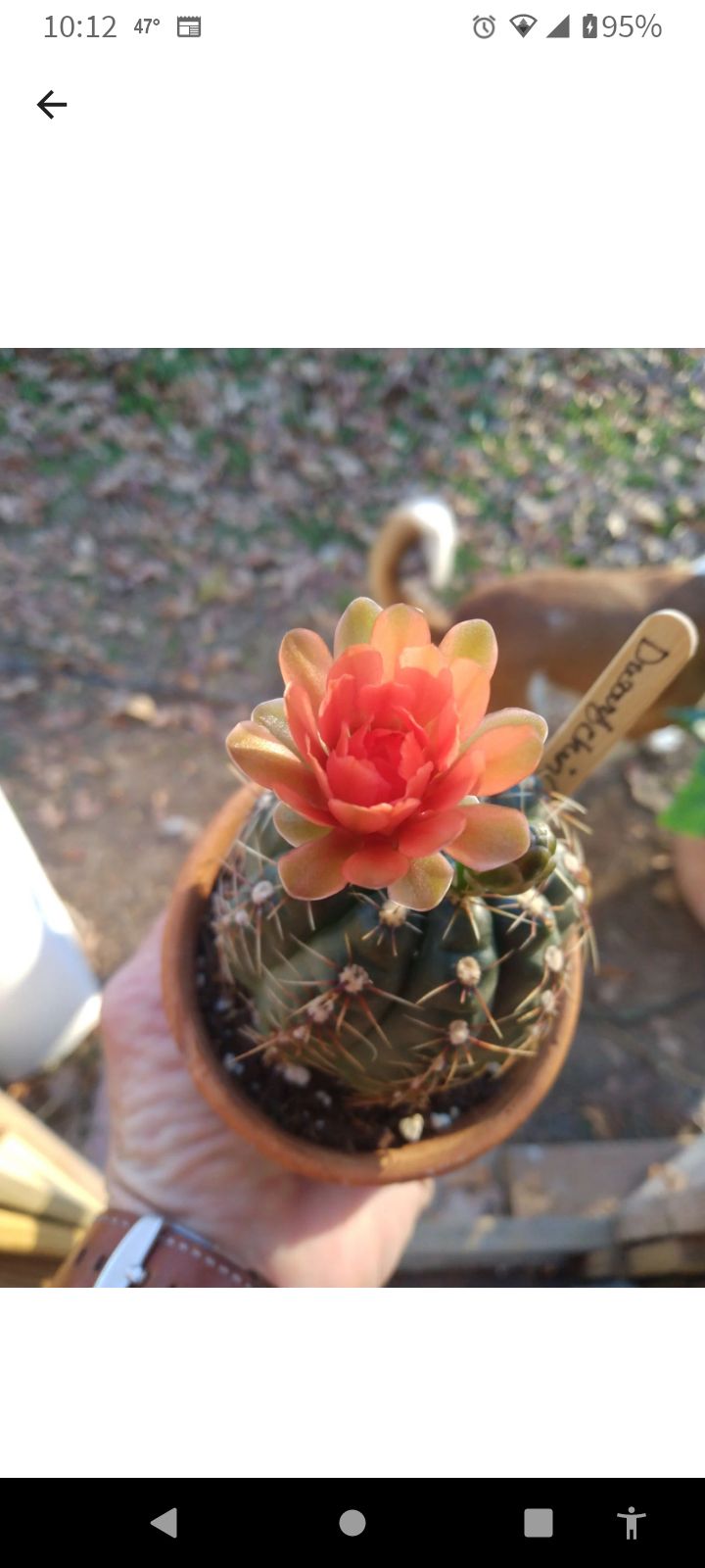 Photo from the post