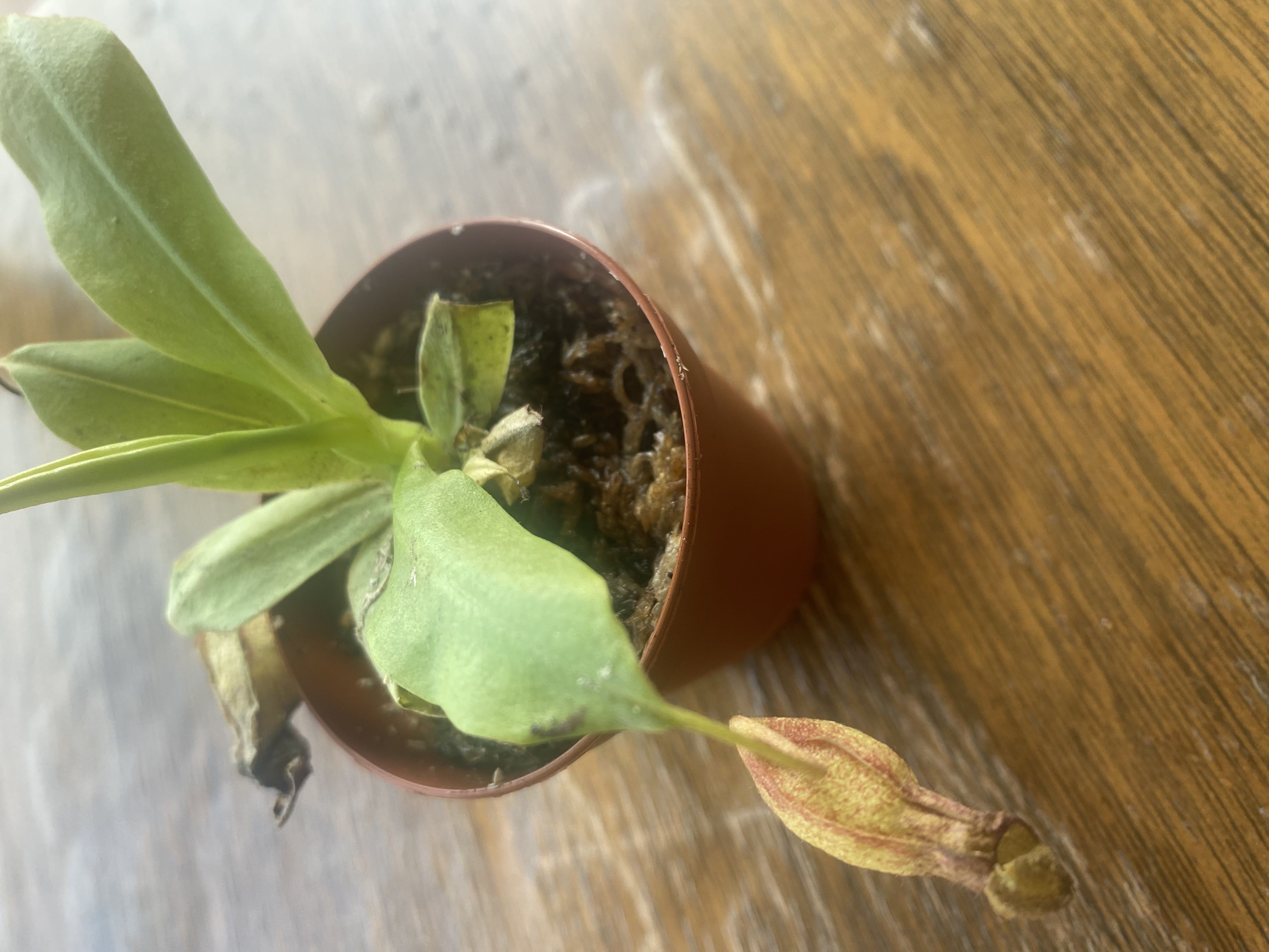Photo from the post