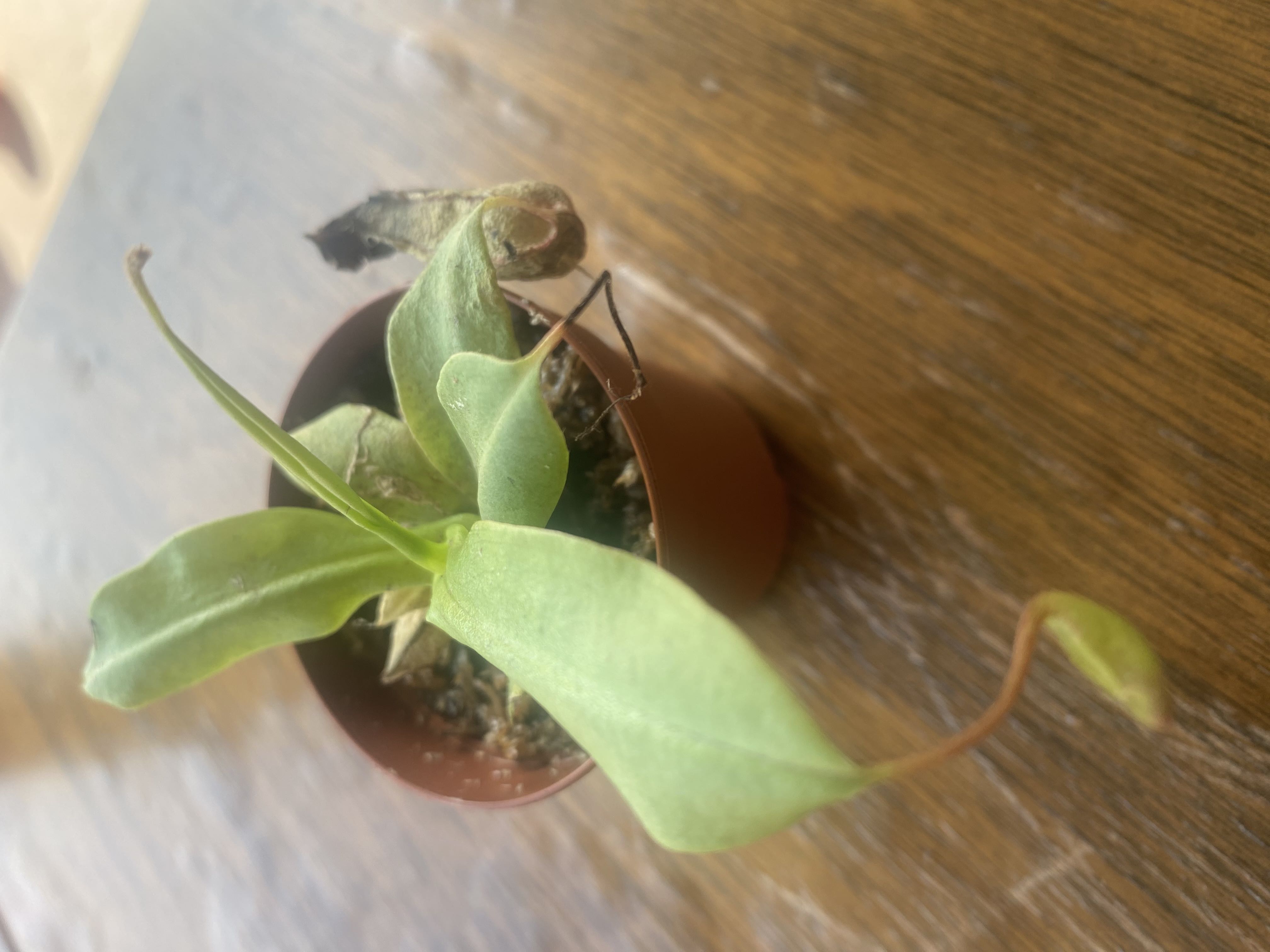 Photo from the post