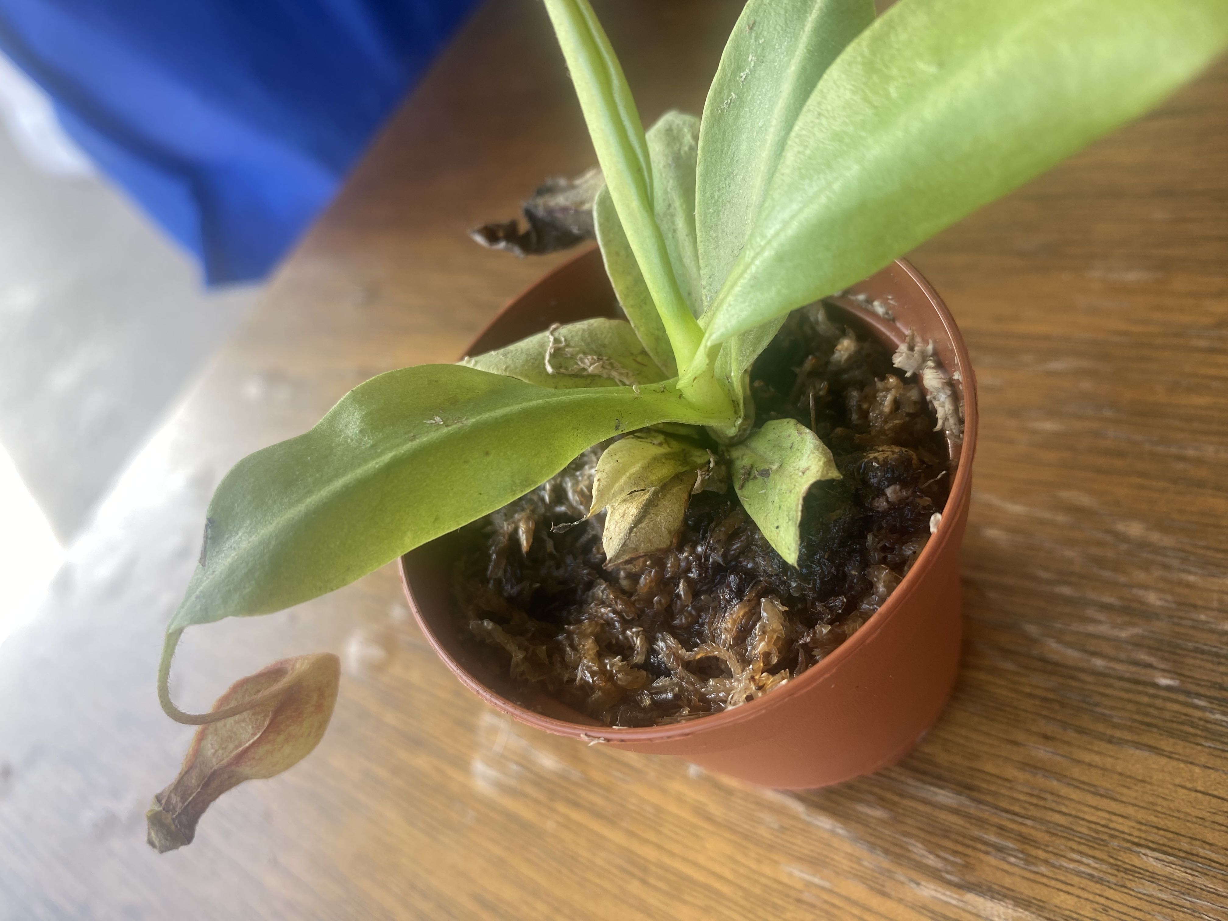 Photo from the post