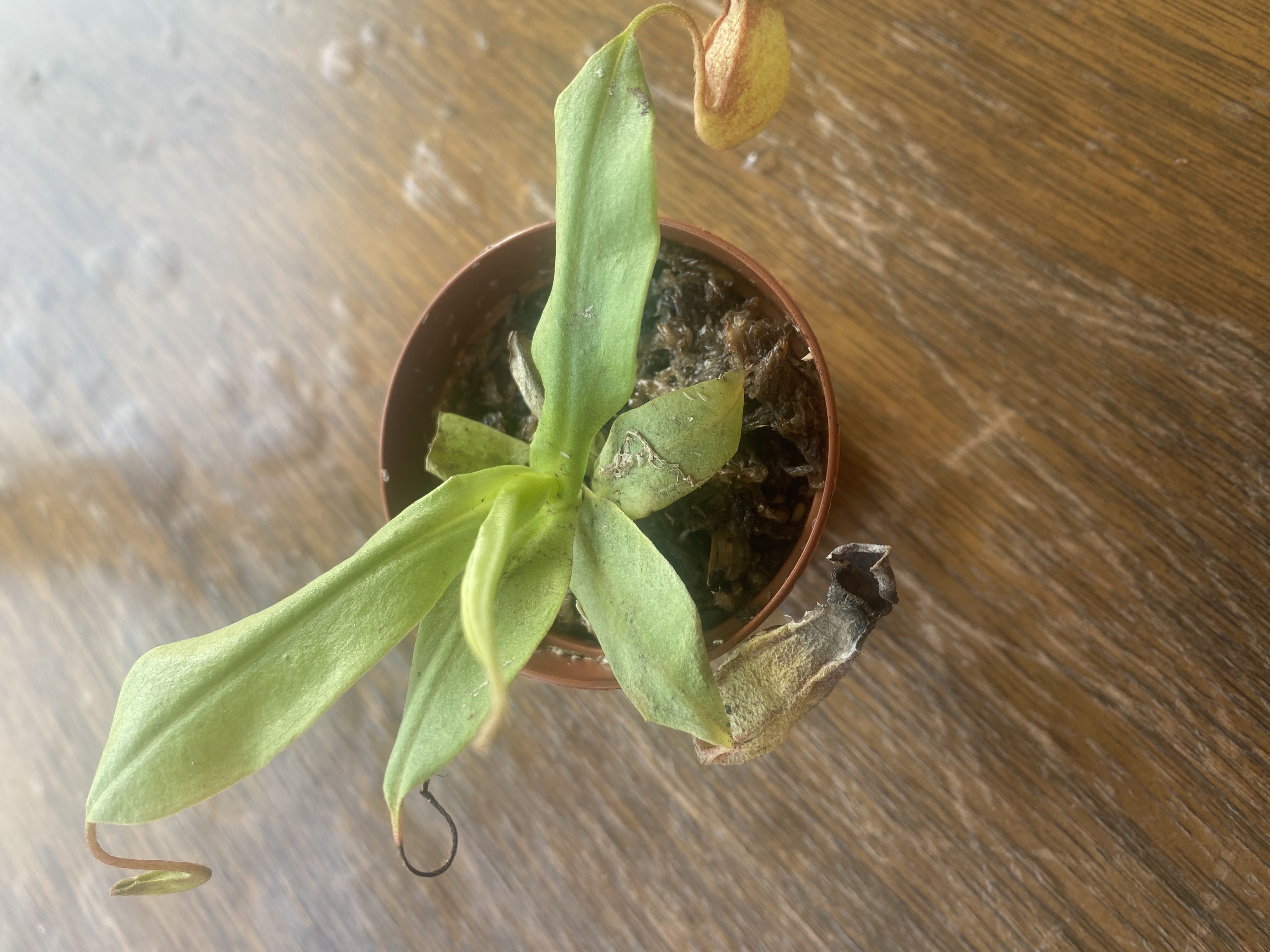 Photo from the post