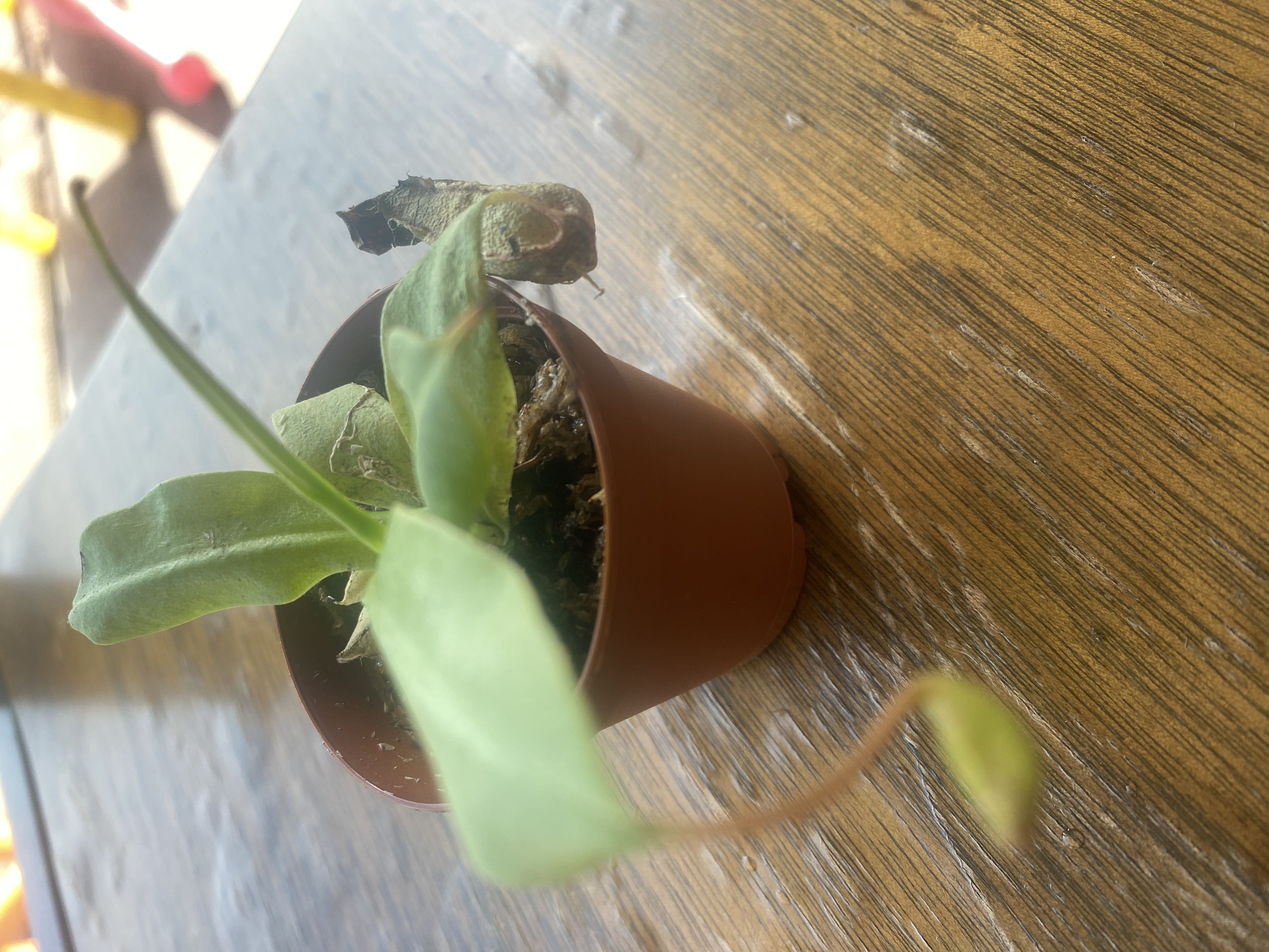 Photo from the post