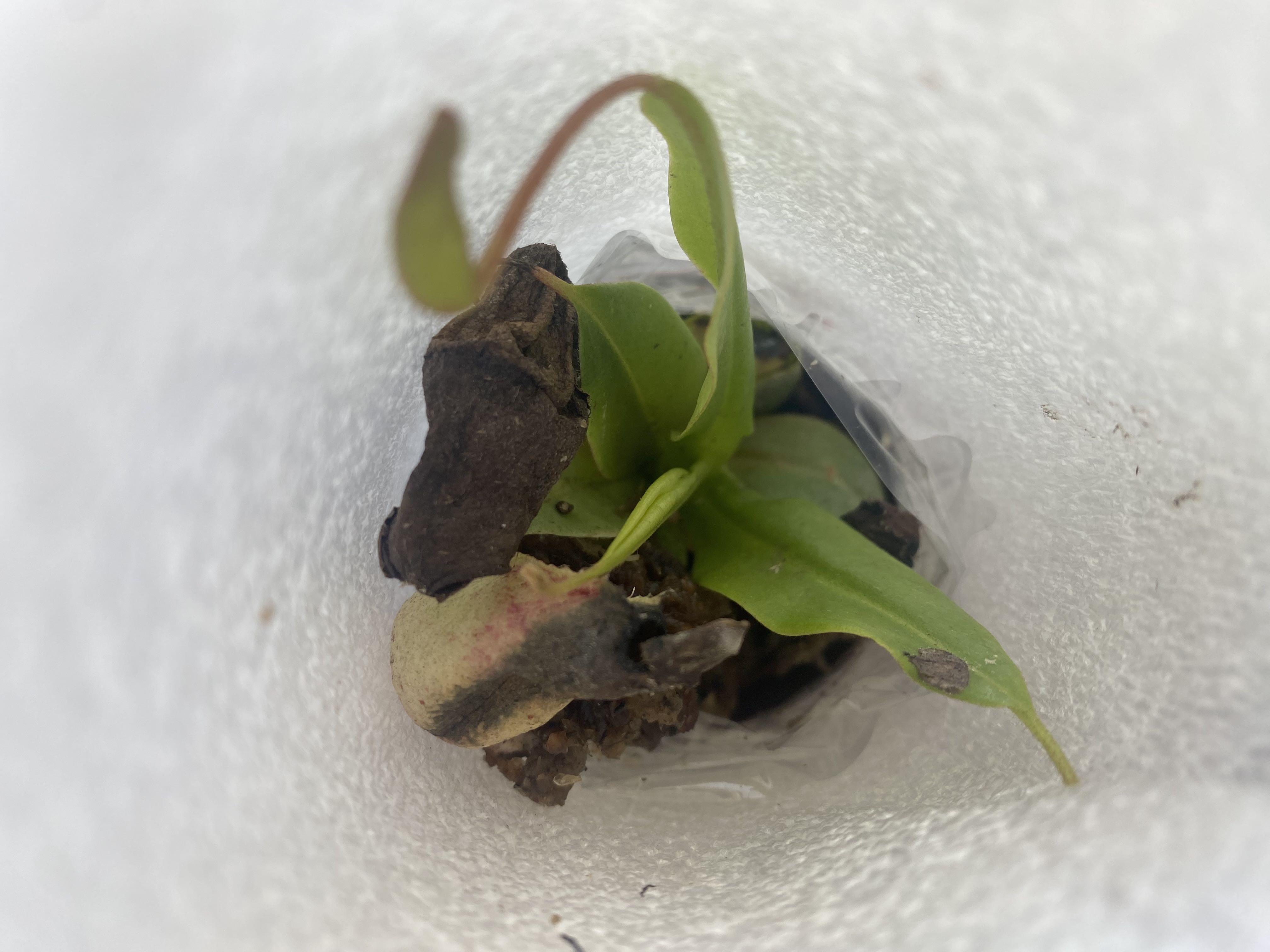 Photo from the post