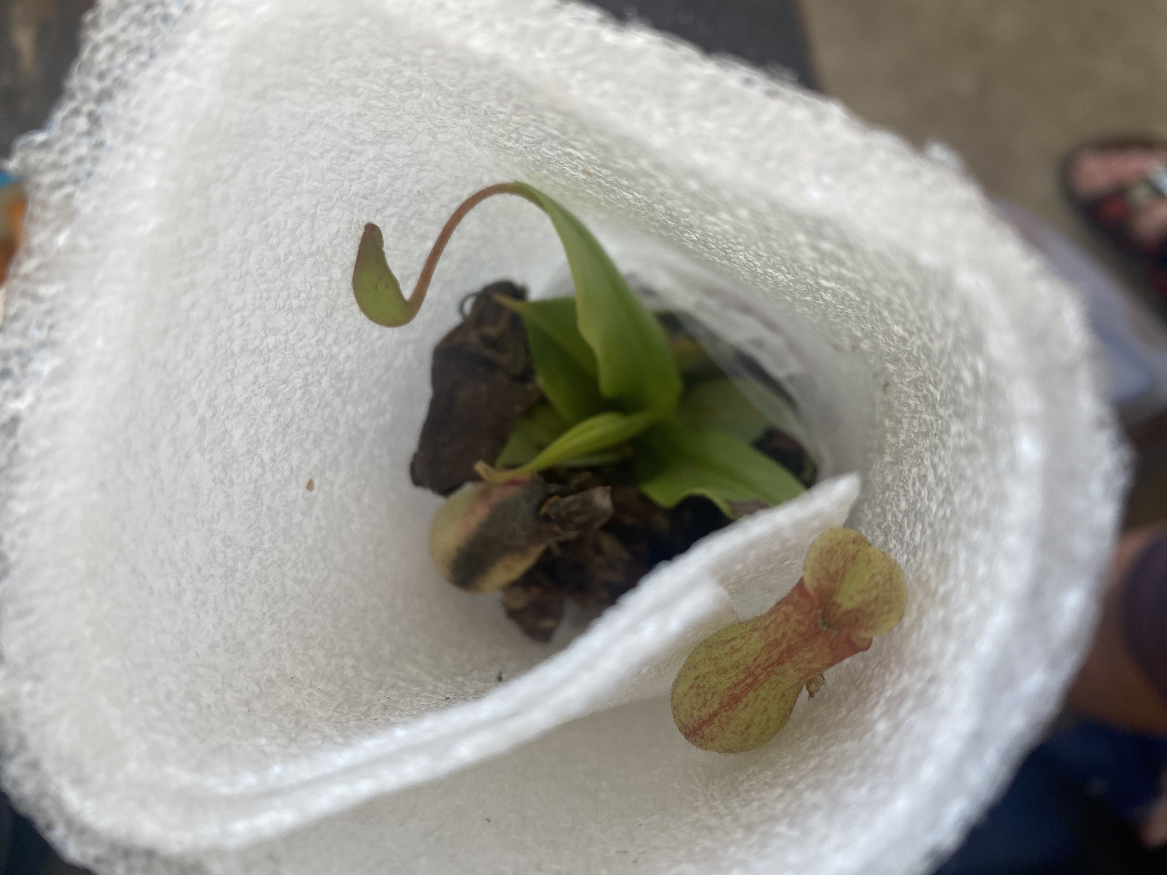 Photo from the post