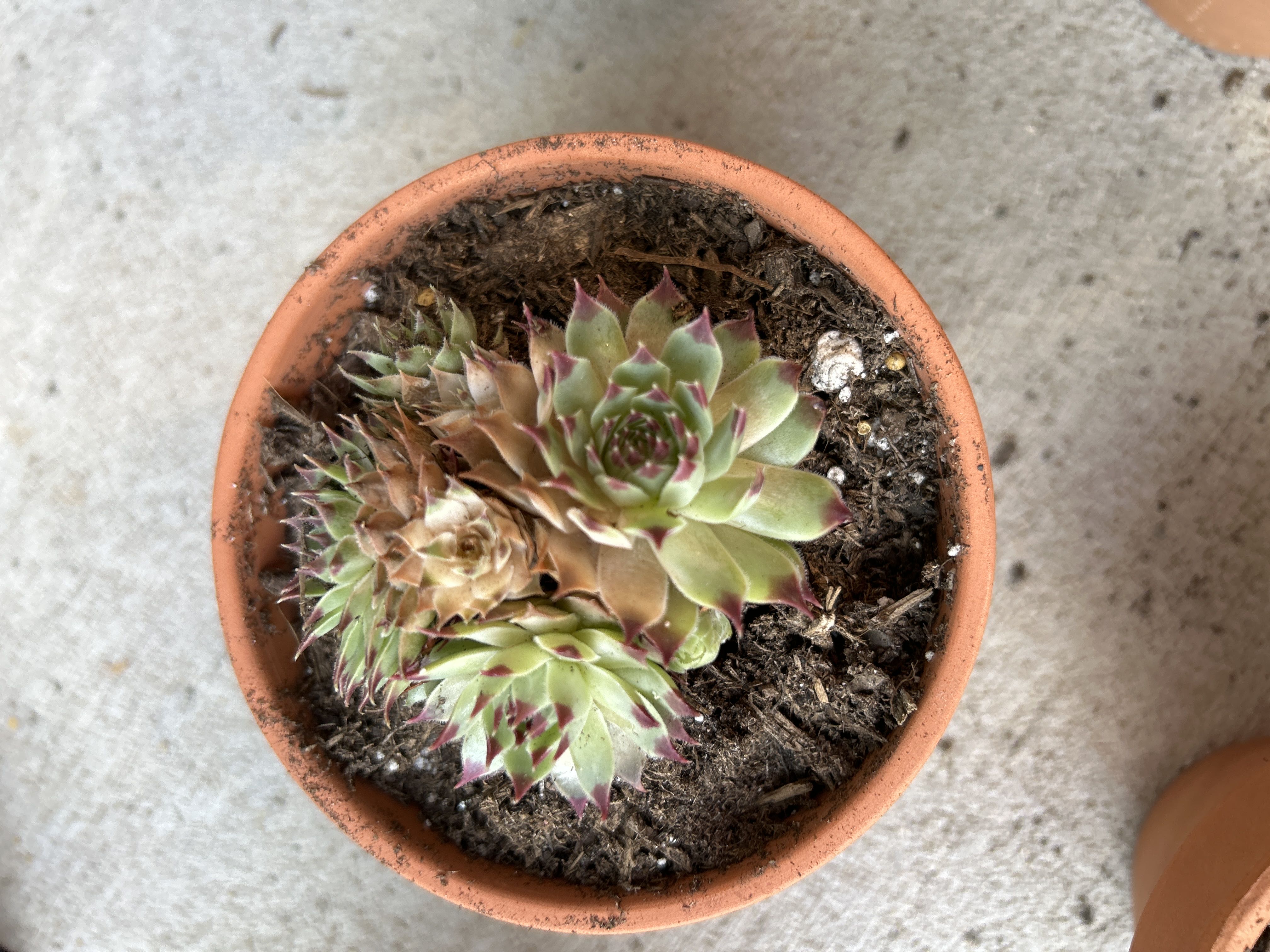 Photo from the post