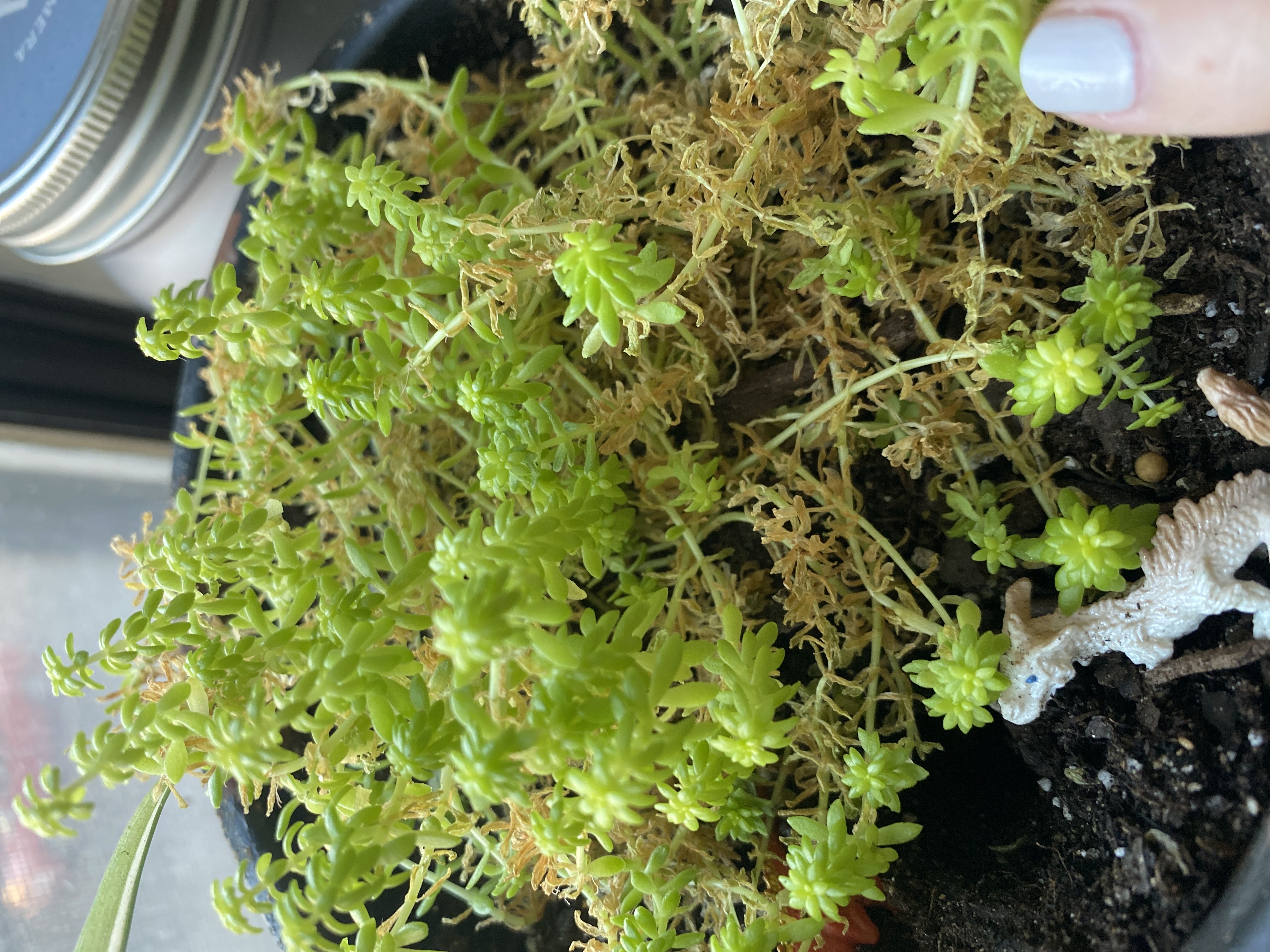 Photo from the post