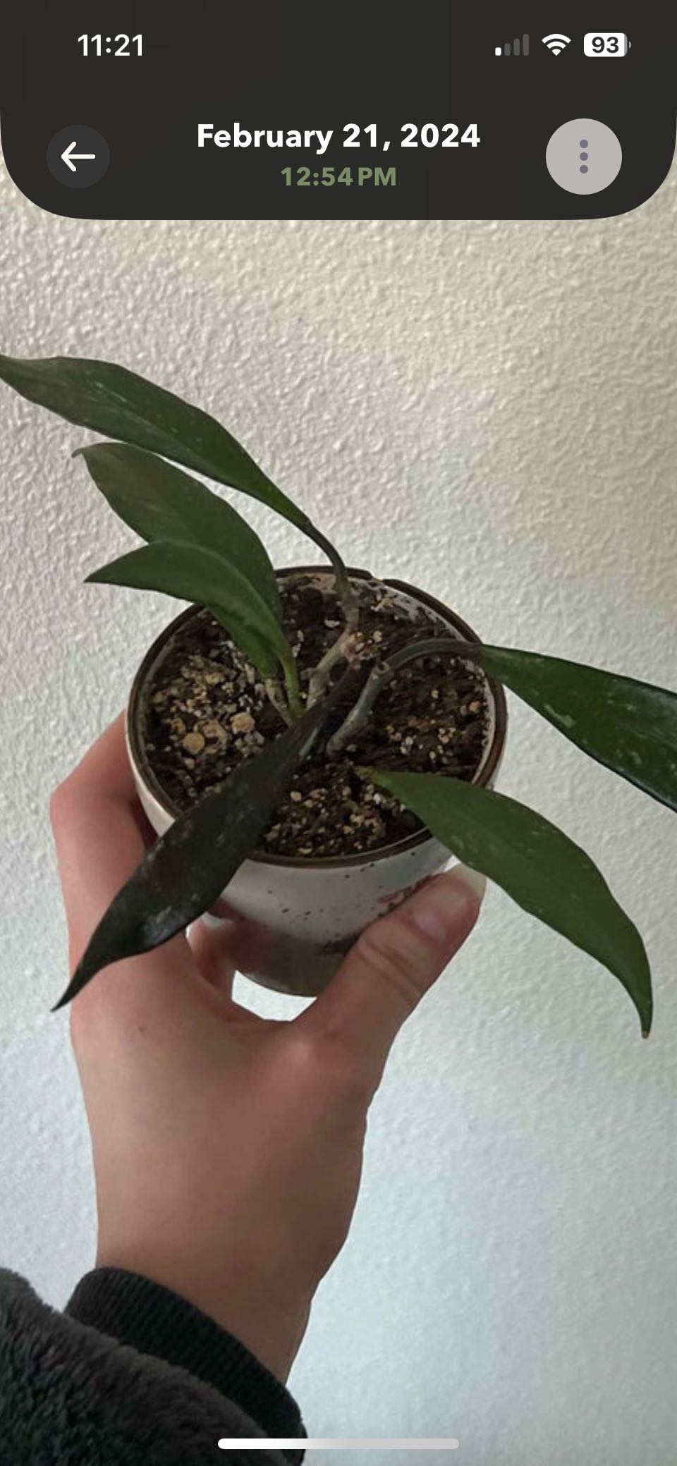 Photo from the post
