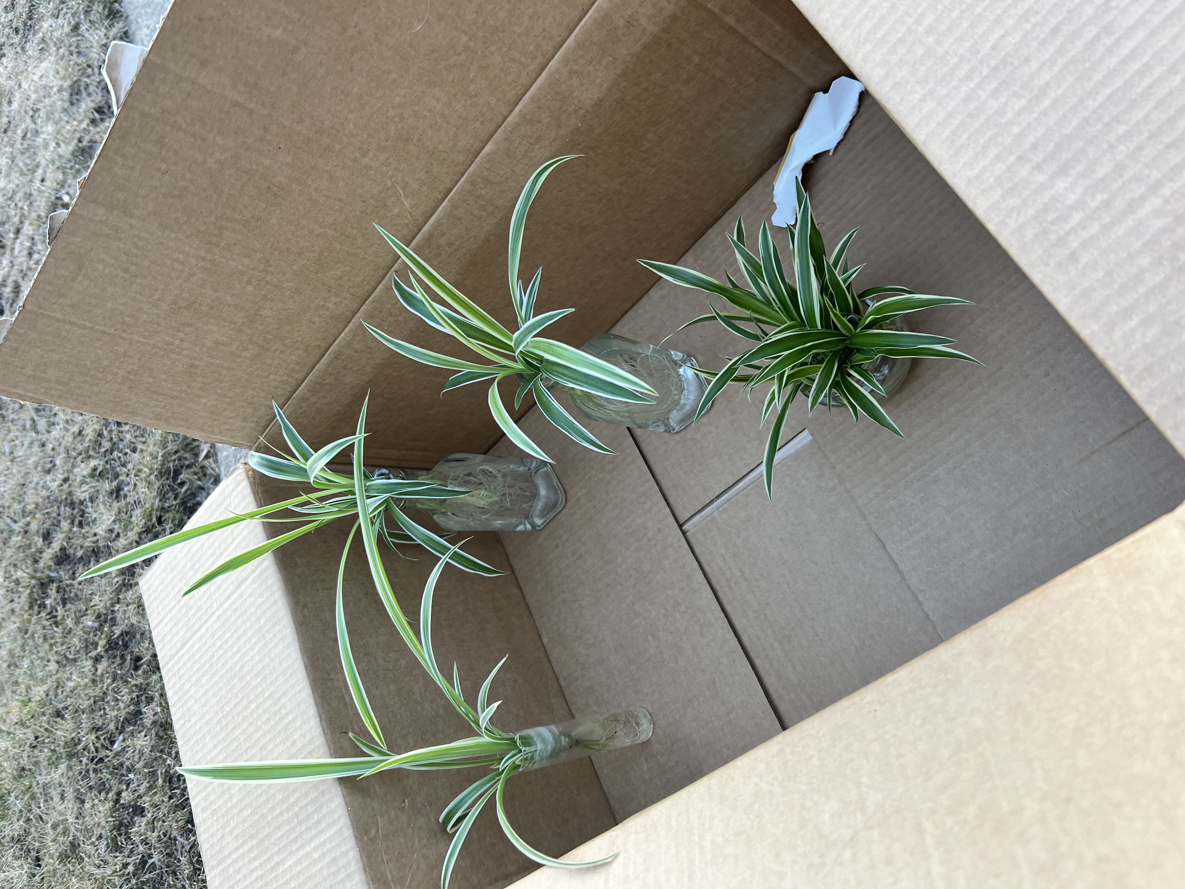 Photo from the post