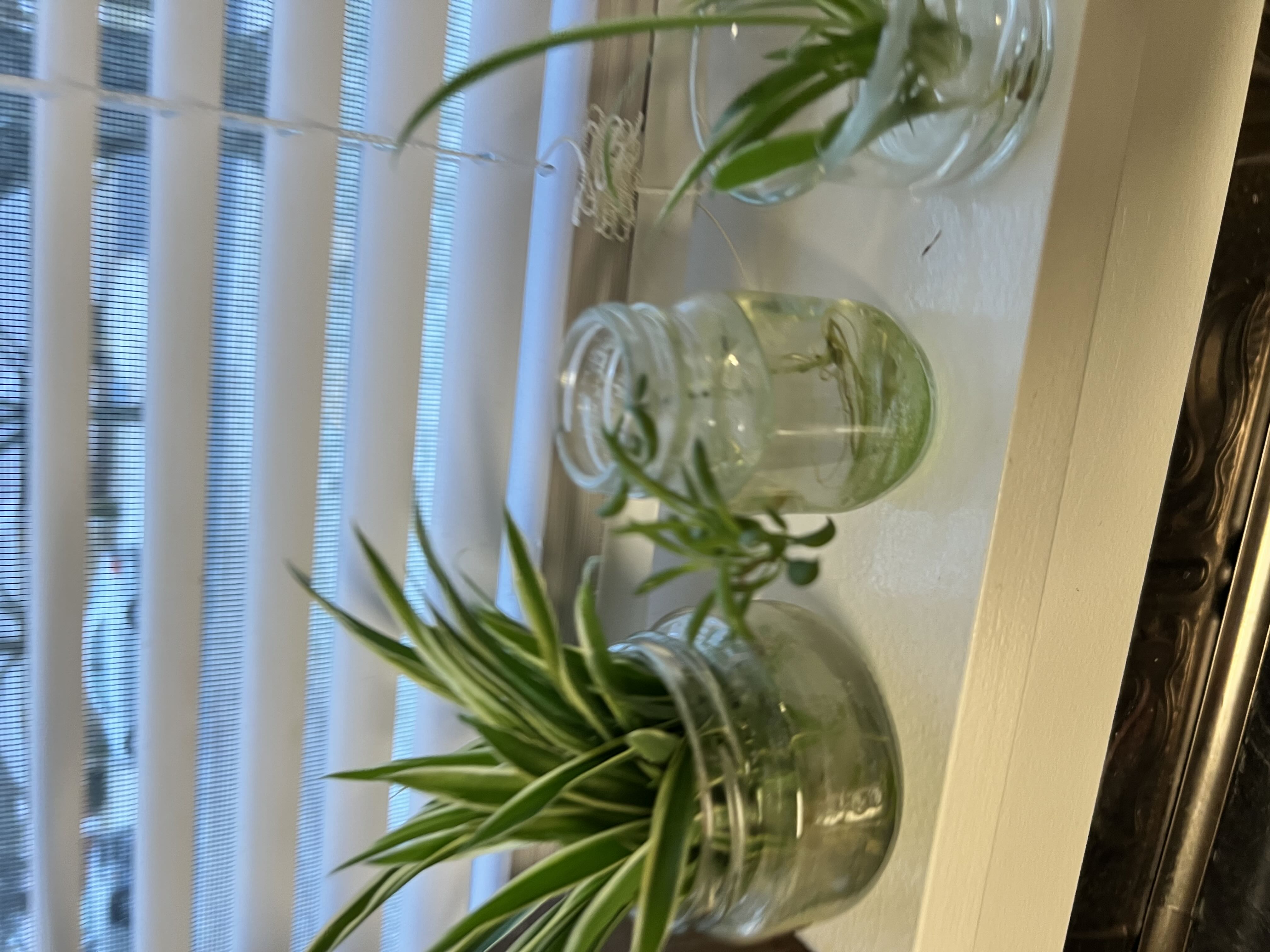 Photo from the post