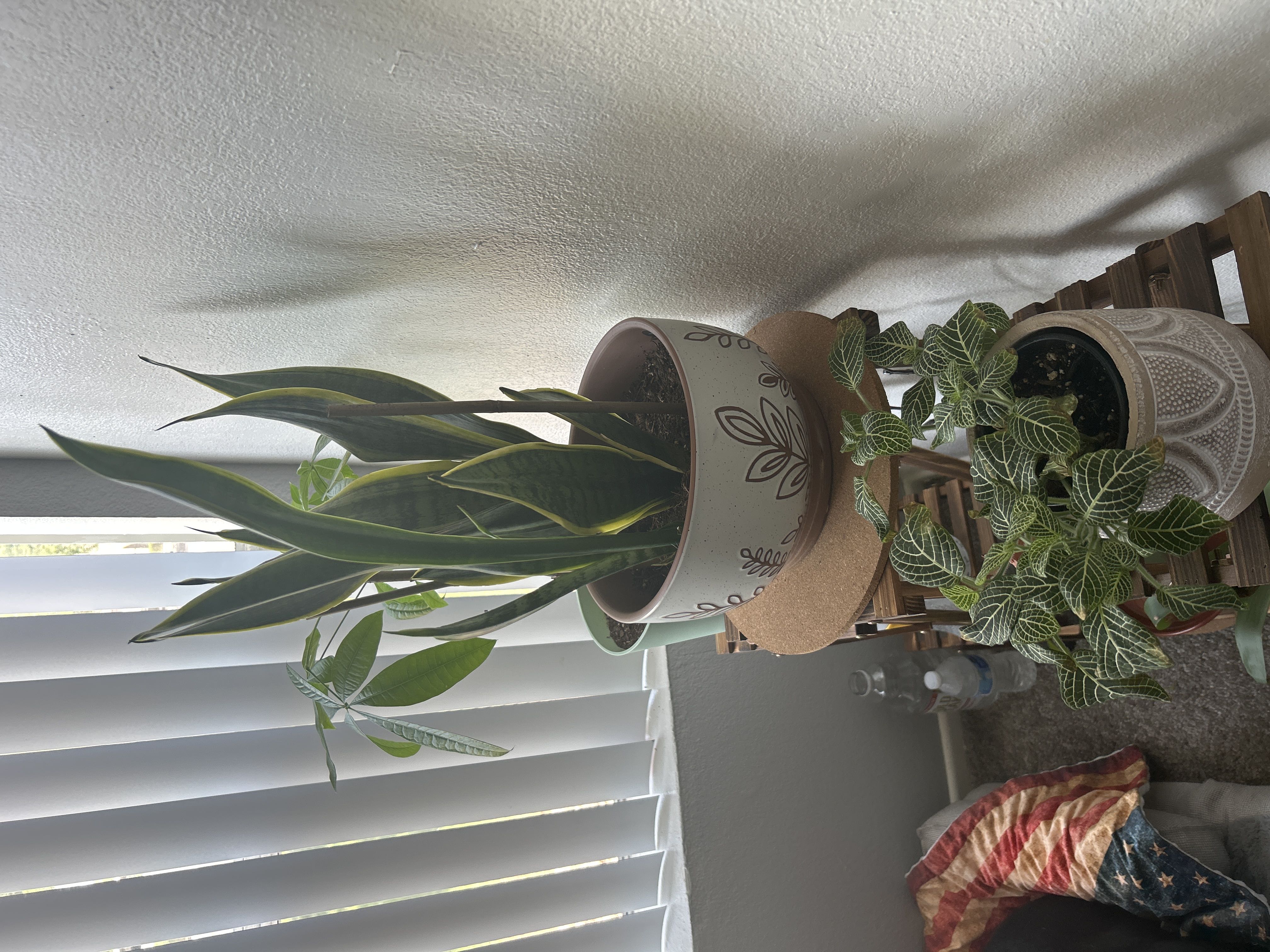 Photo from the post