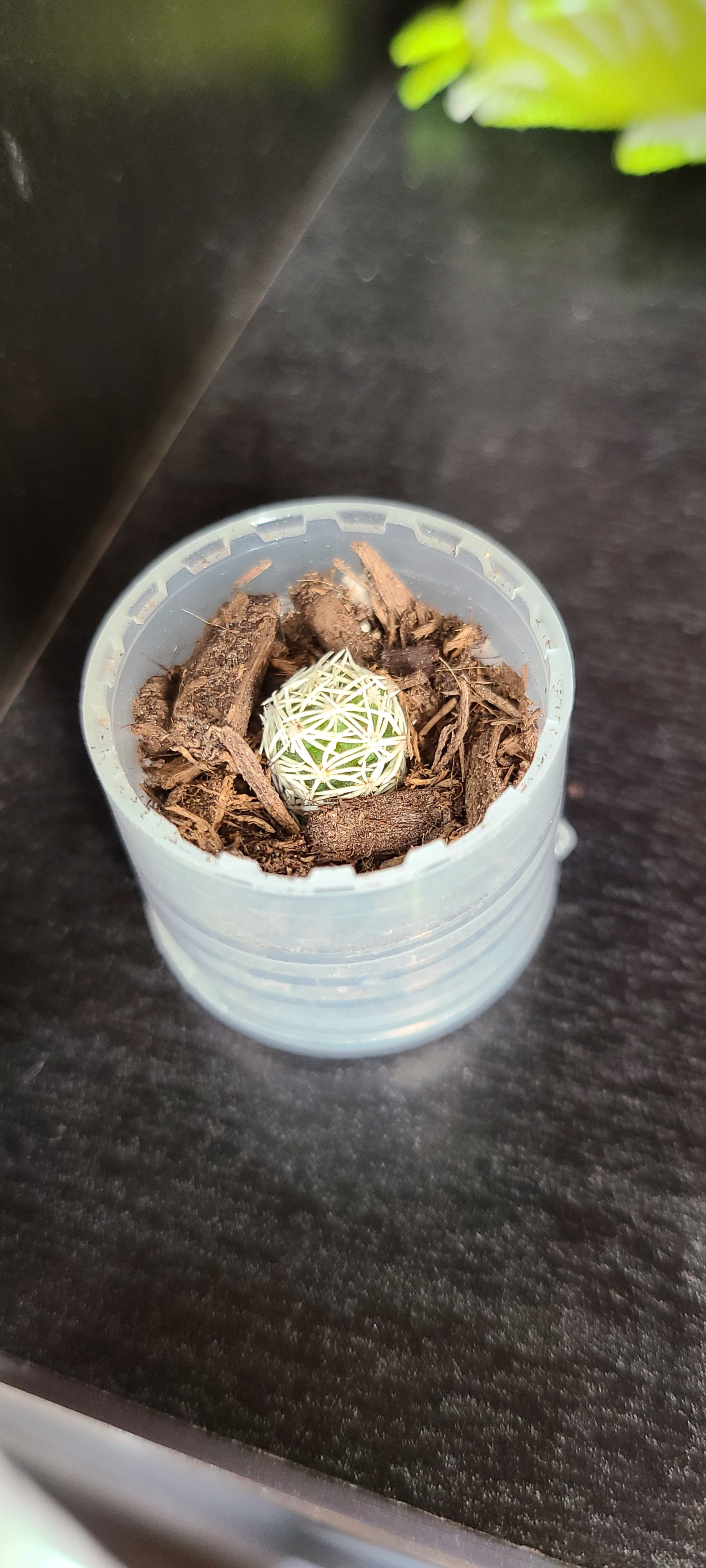 Photo from the post