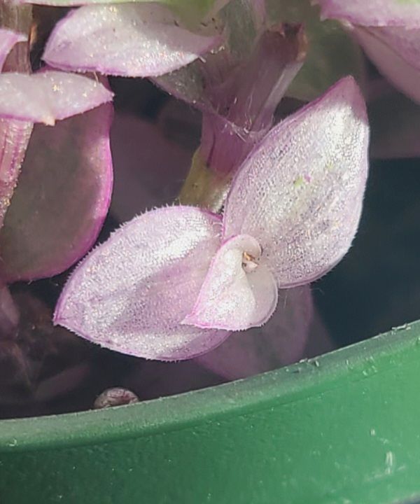 Photo from the post