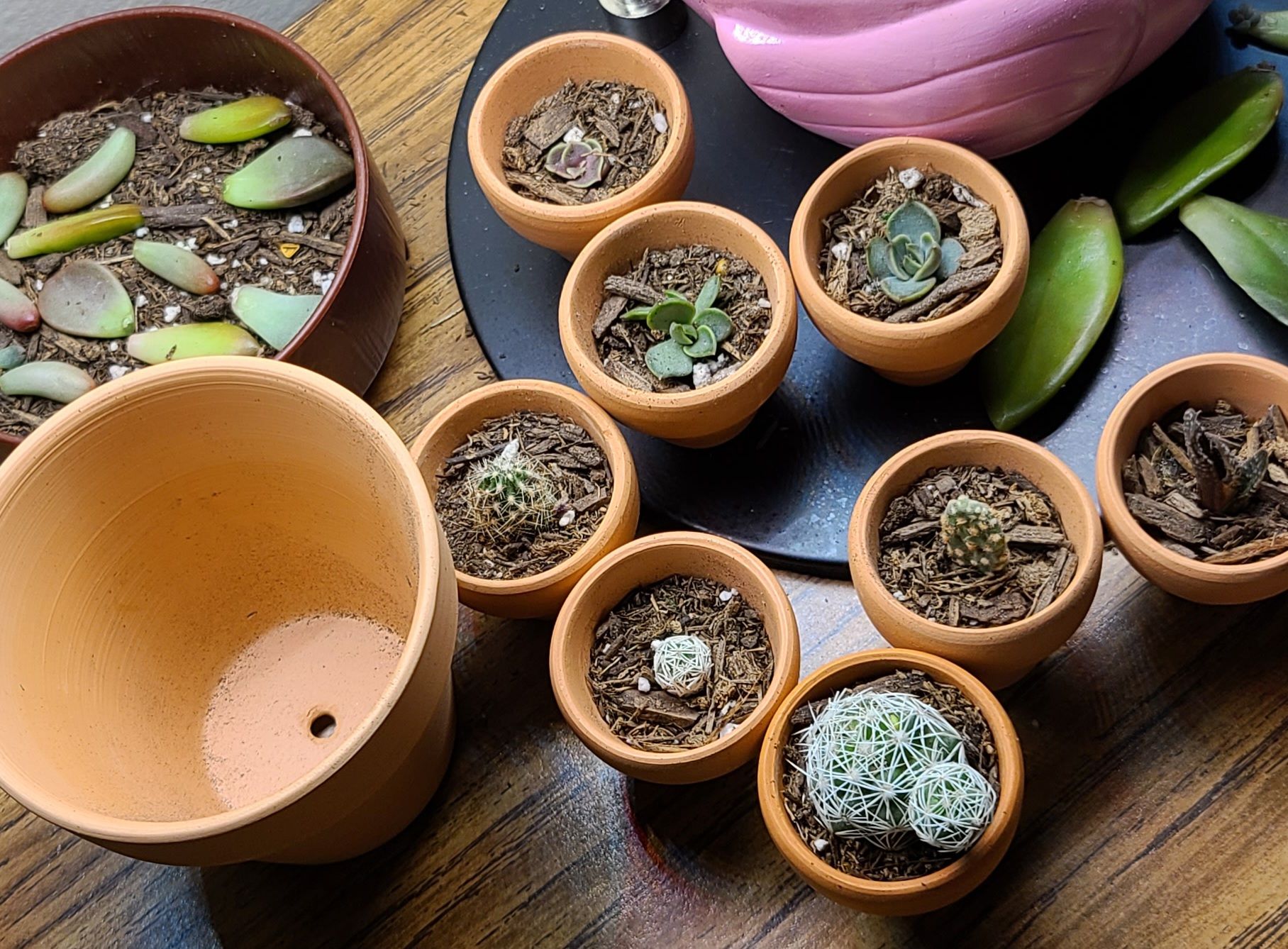 Photo from the post