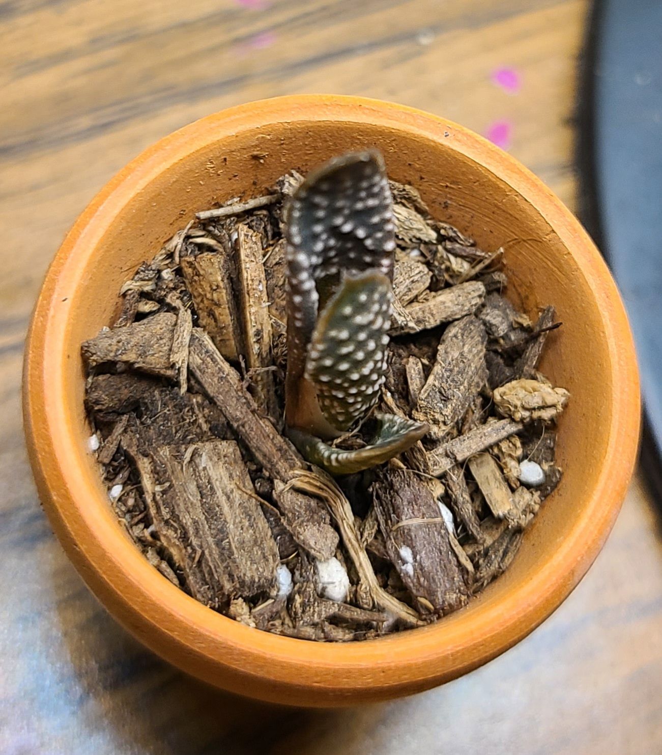 Photo from the post