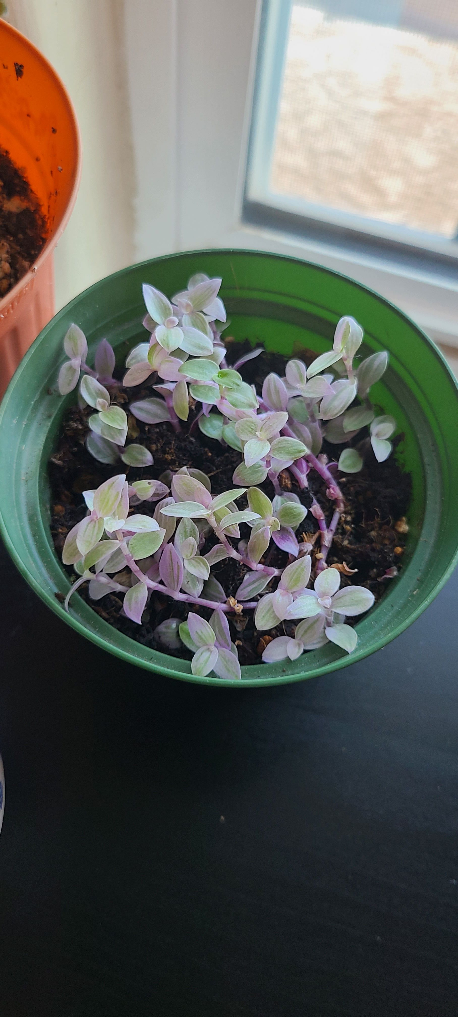Photo from the post