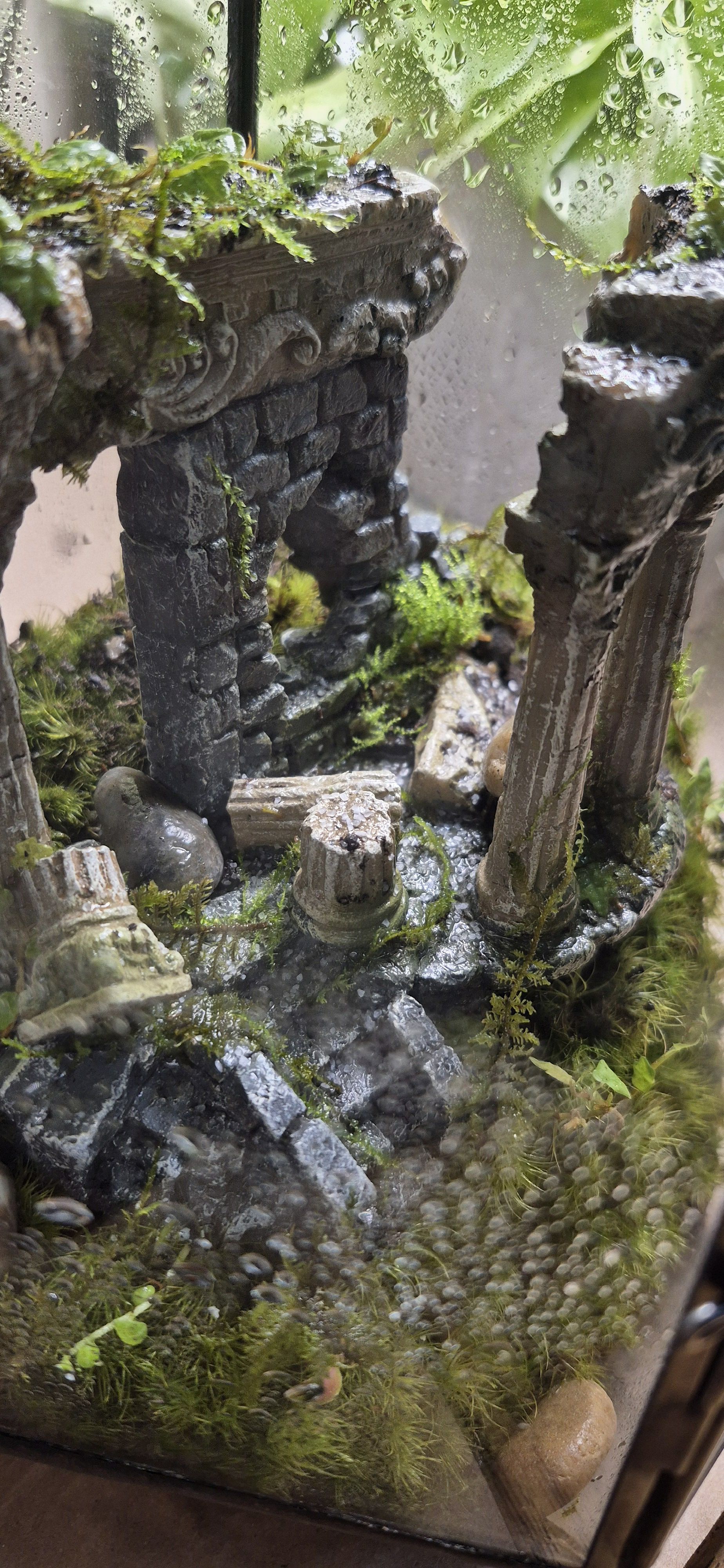 Photo from the post