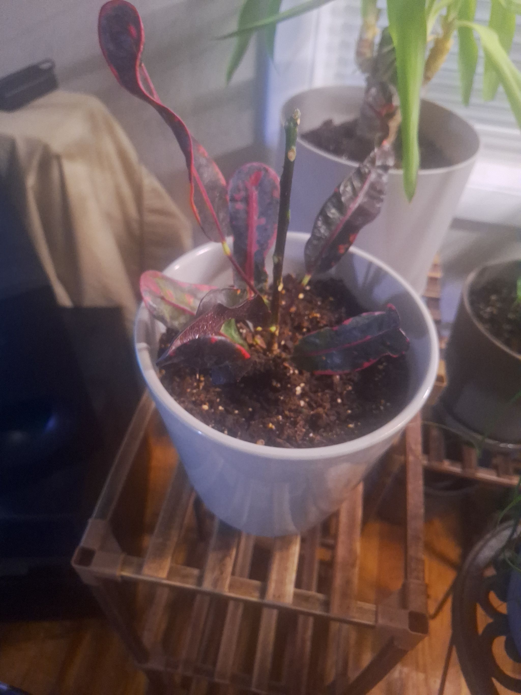 Photo from the post