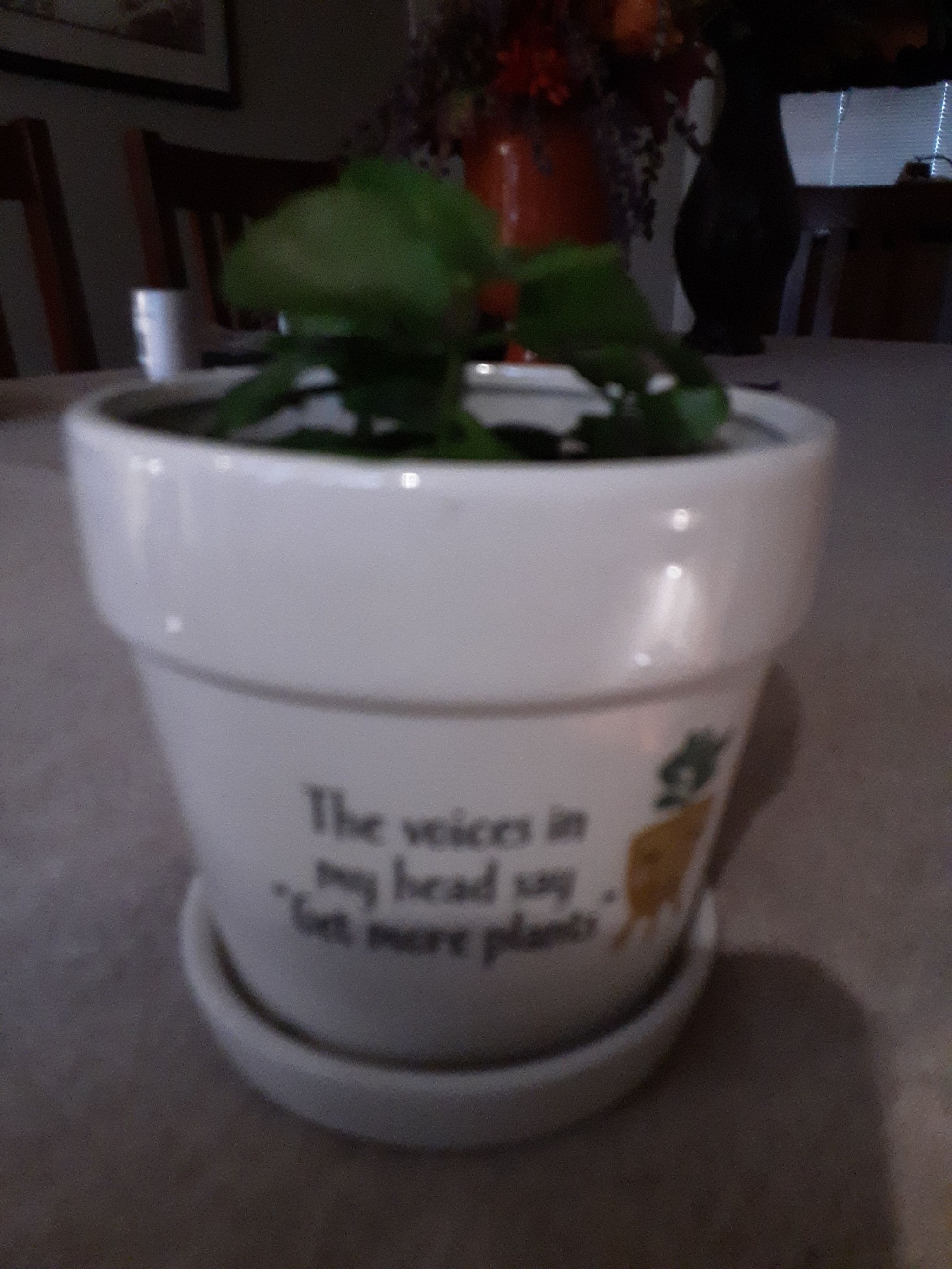 Photo from the post