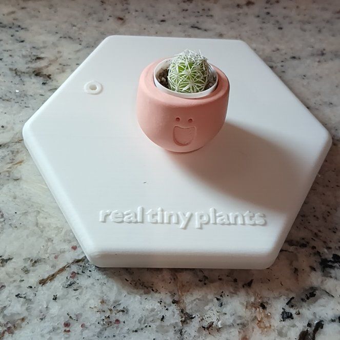 Photo of the plant species Thimble Cactus by @SuzAnthophile named Laughin' Larry on Greg, the plant care app