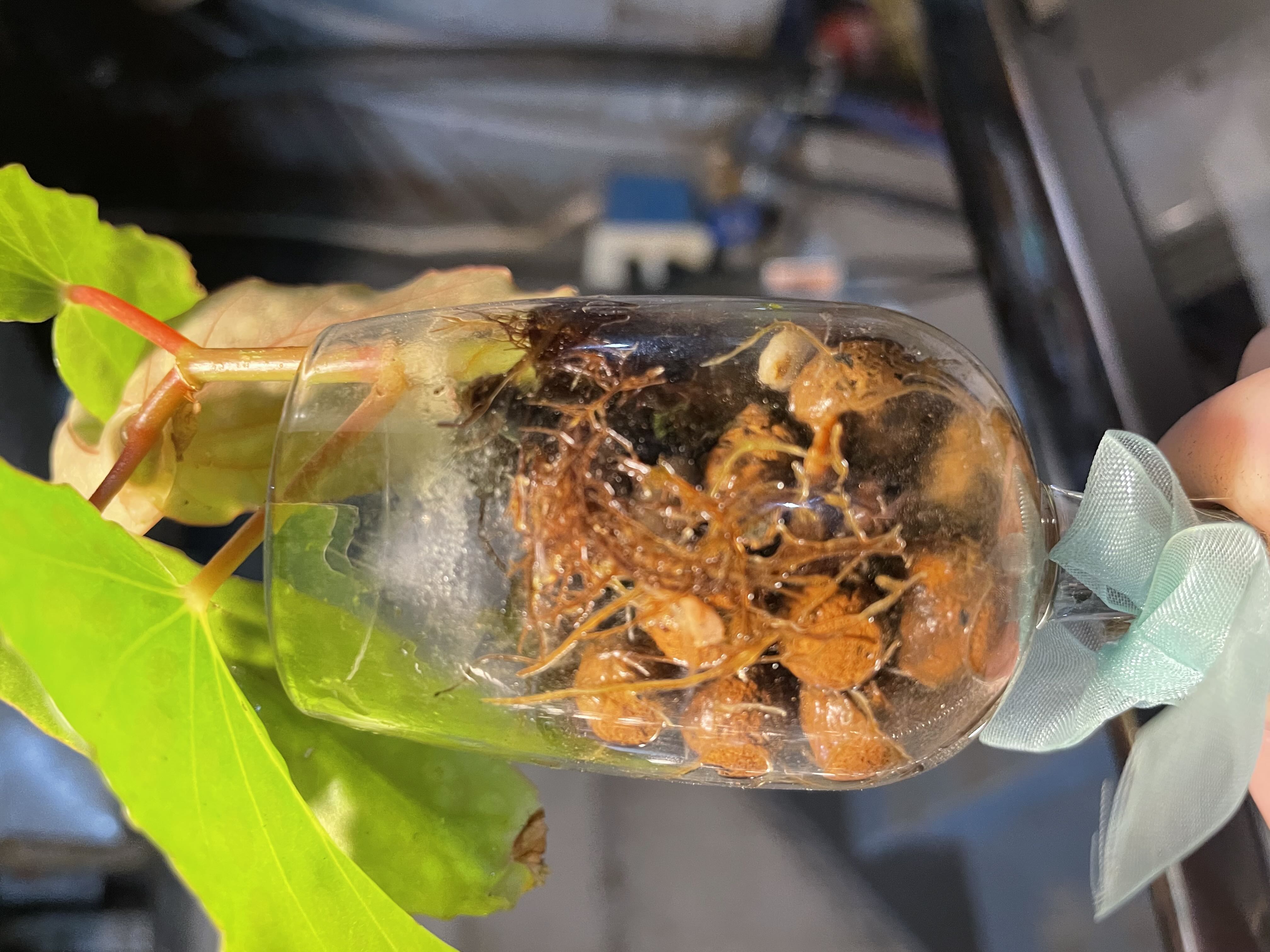 Photo from the post