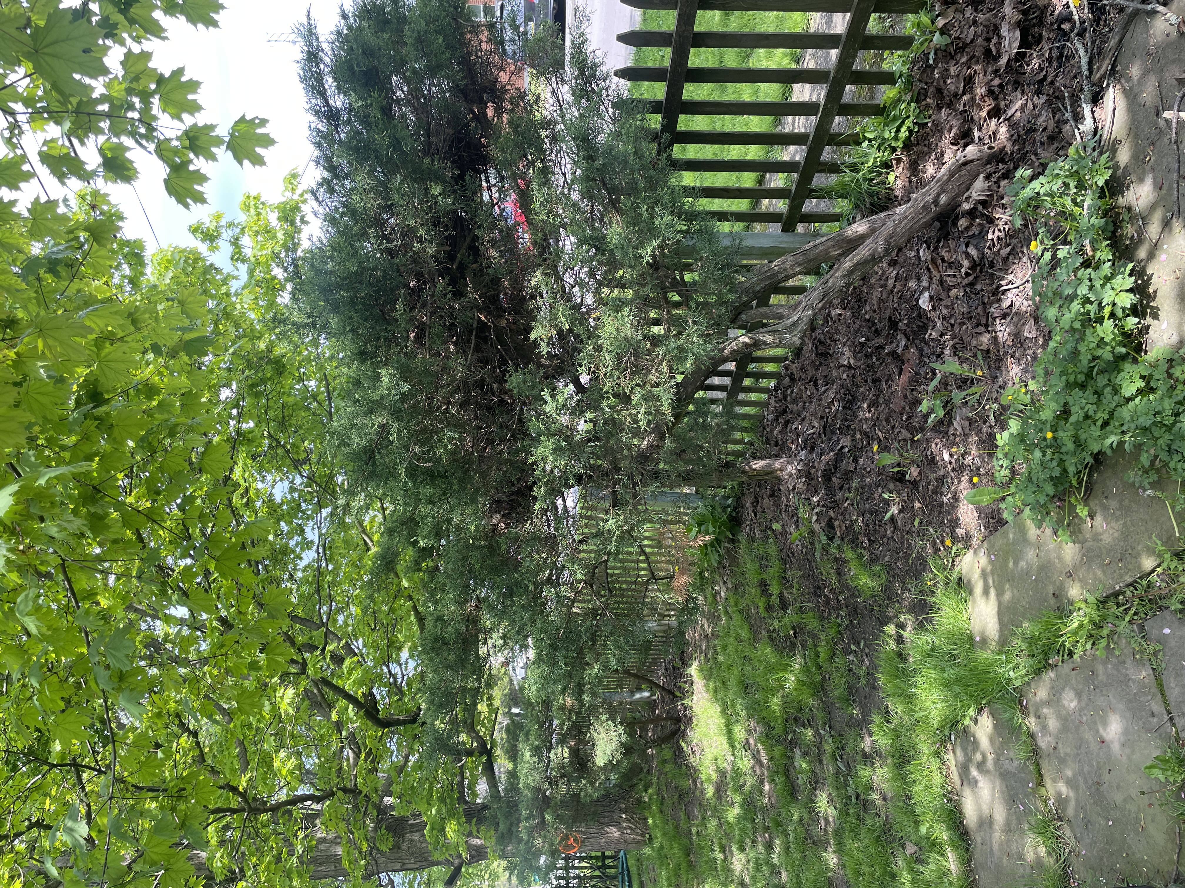 Photo from the post