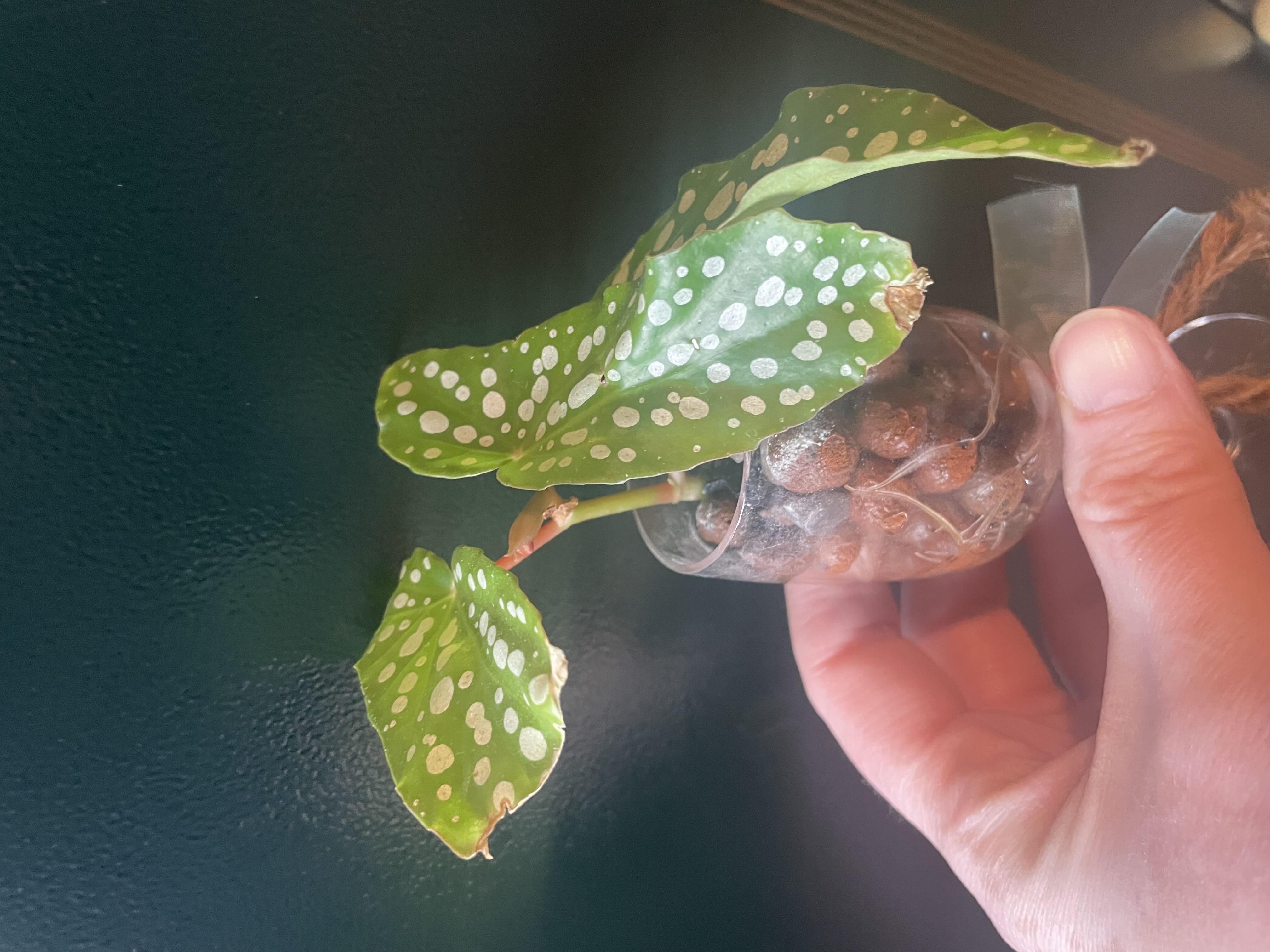 Photo from the post