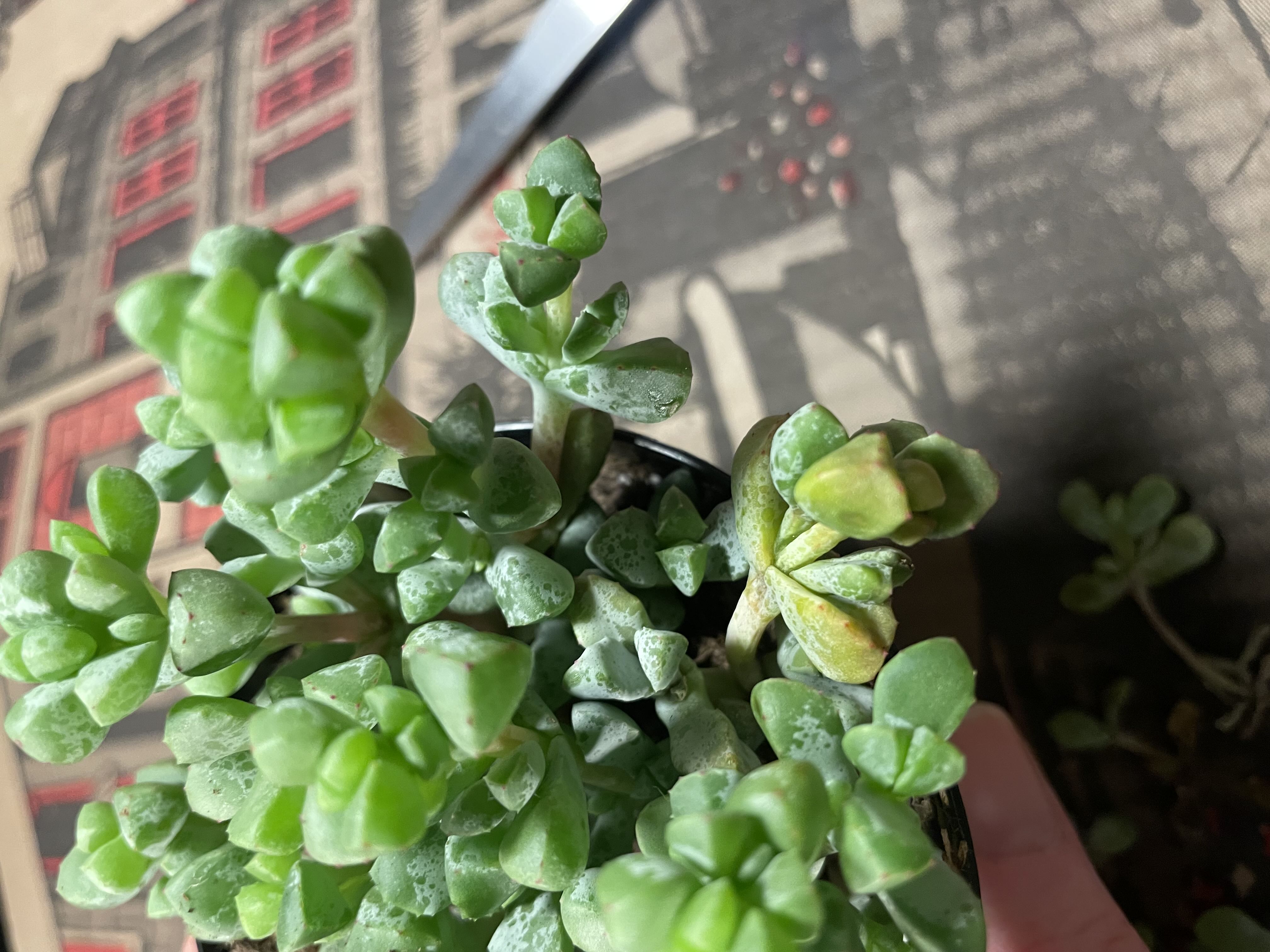 Photo from the post