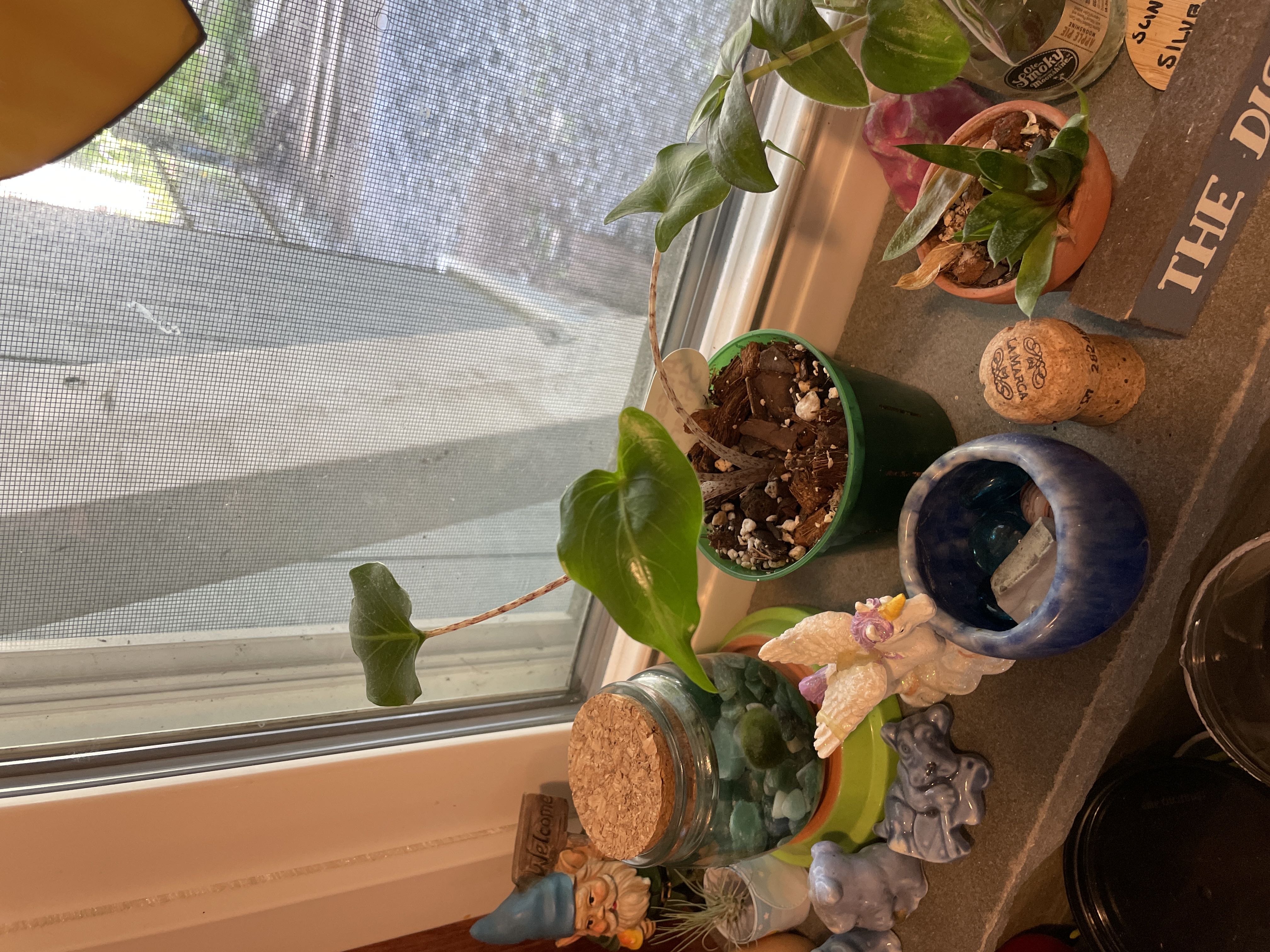 Photo from the post
