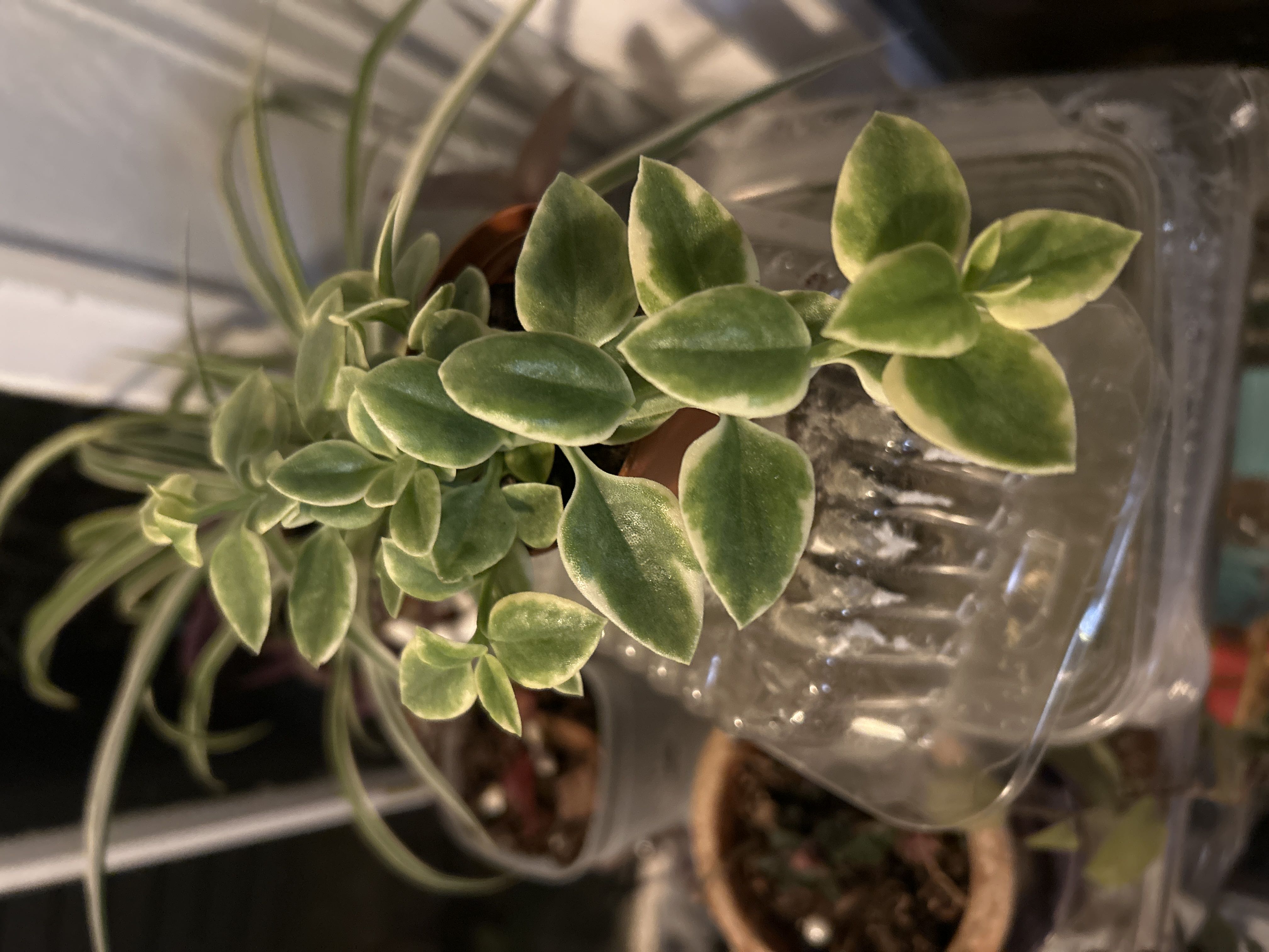 Photo from the post