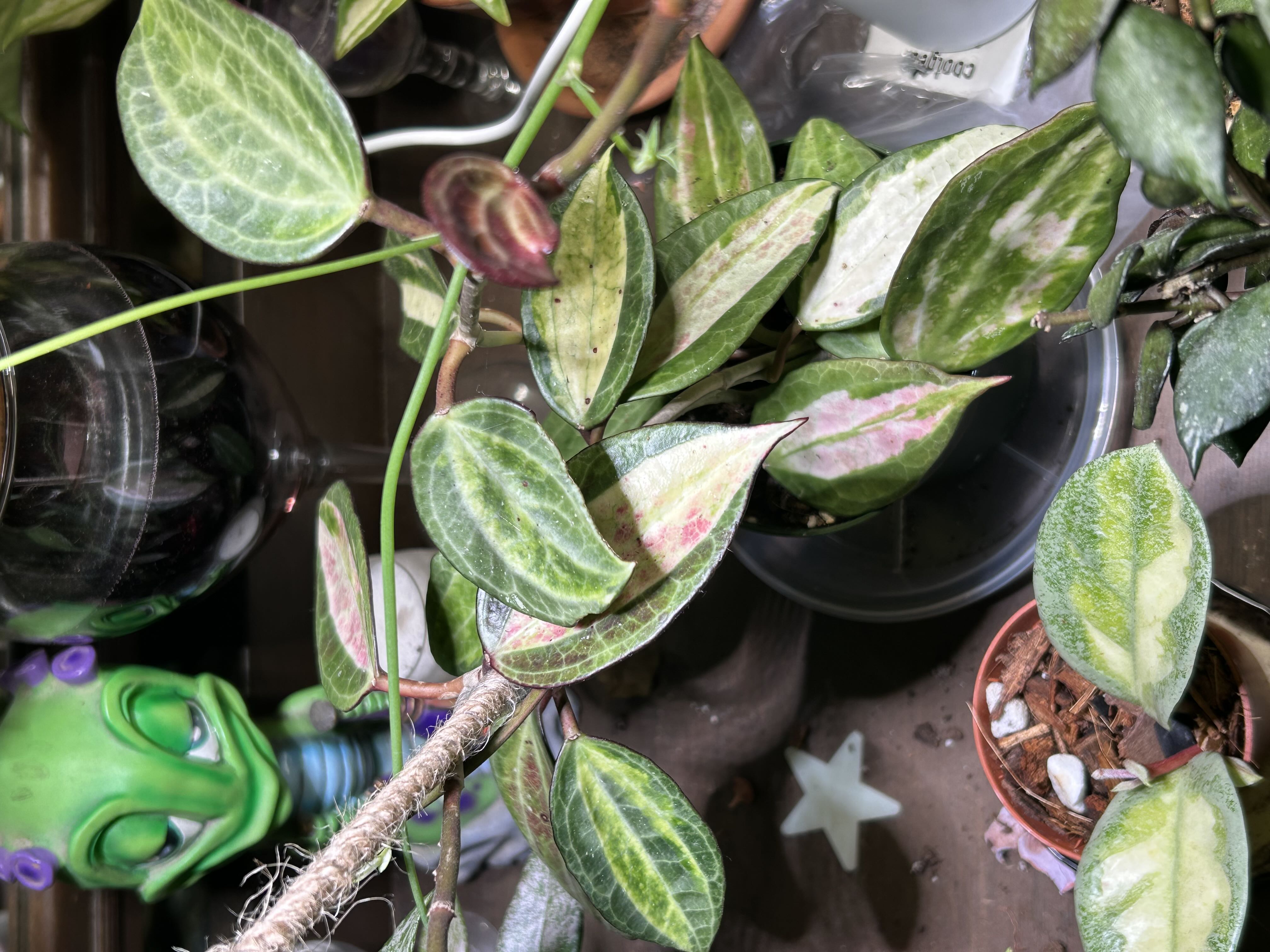 Photo from the post