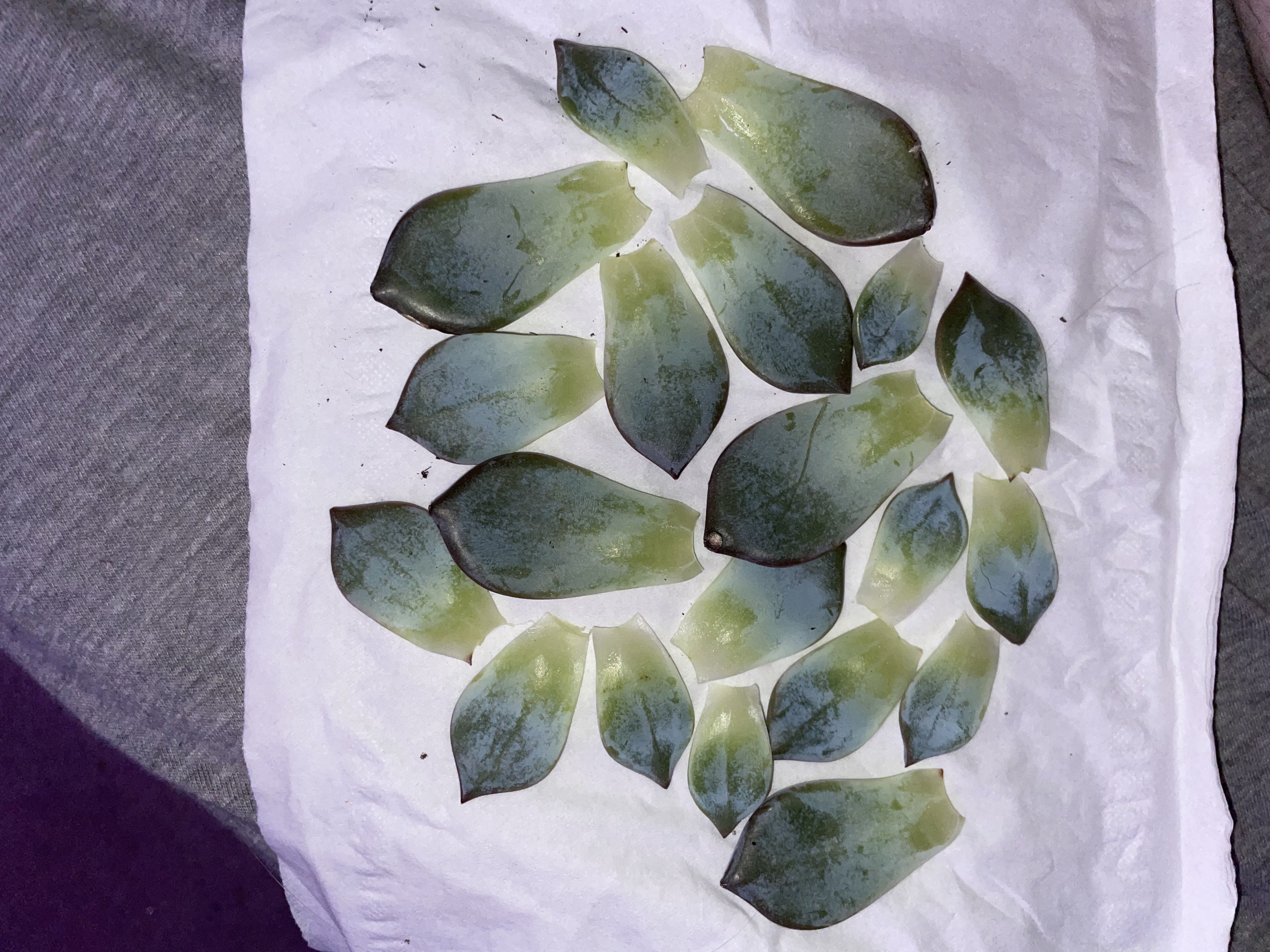 Photo from the post