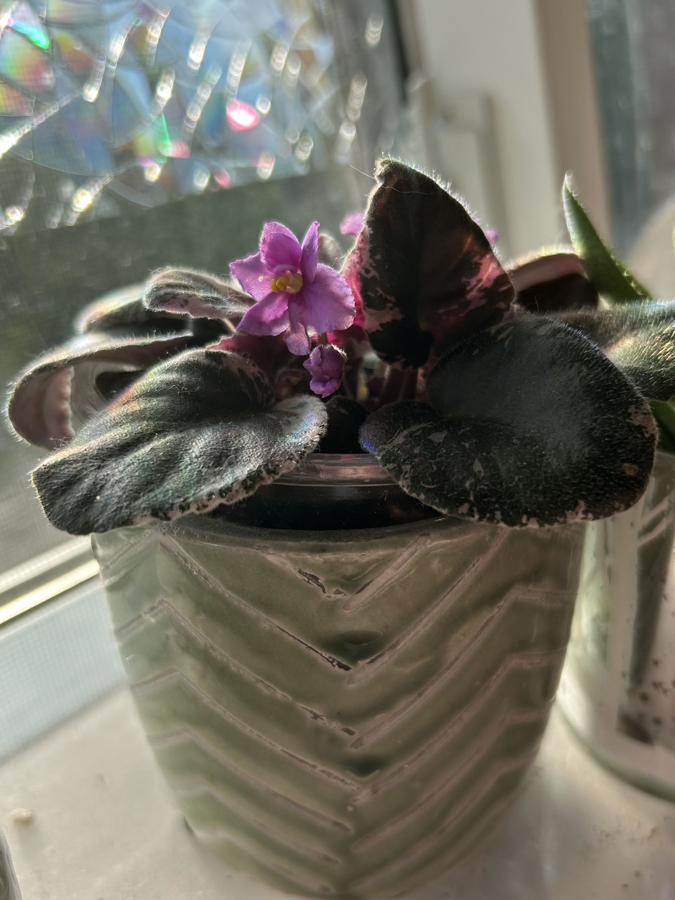 Photo from the post