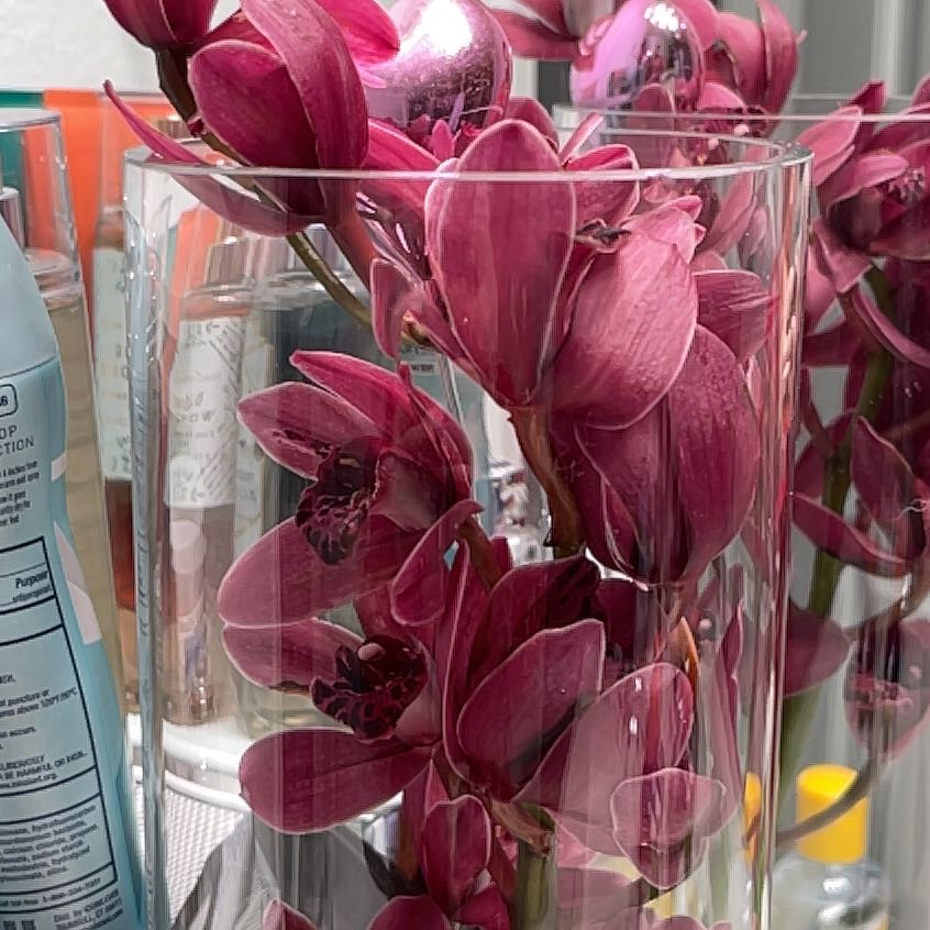 Photo of the plant species Cymbidium Panalatinga by @BonusLukiwan named Figyonce on Greg, the plant care app