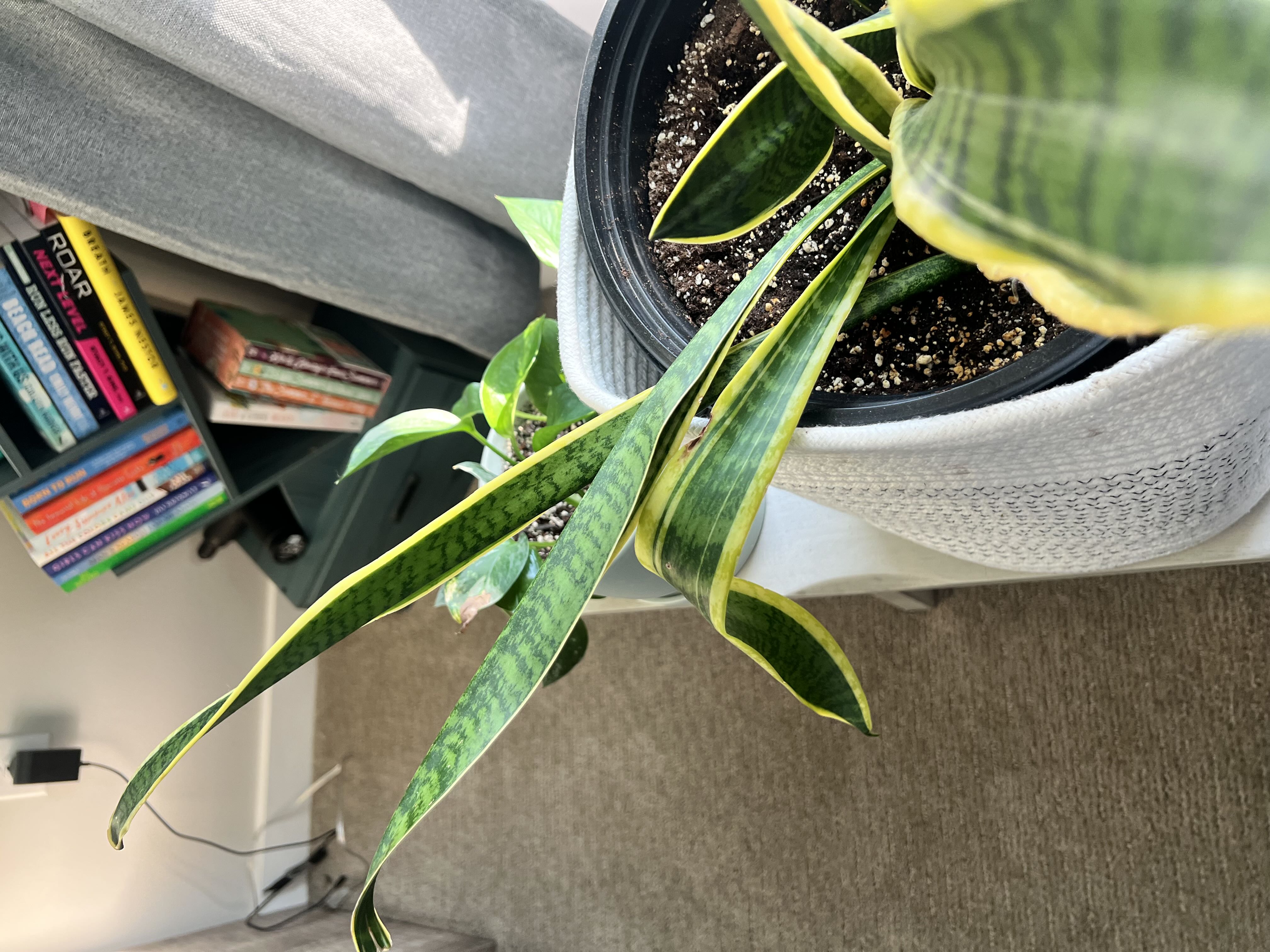 Photo from the post