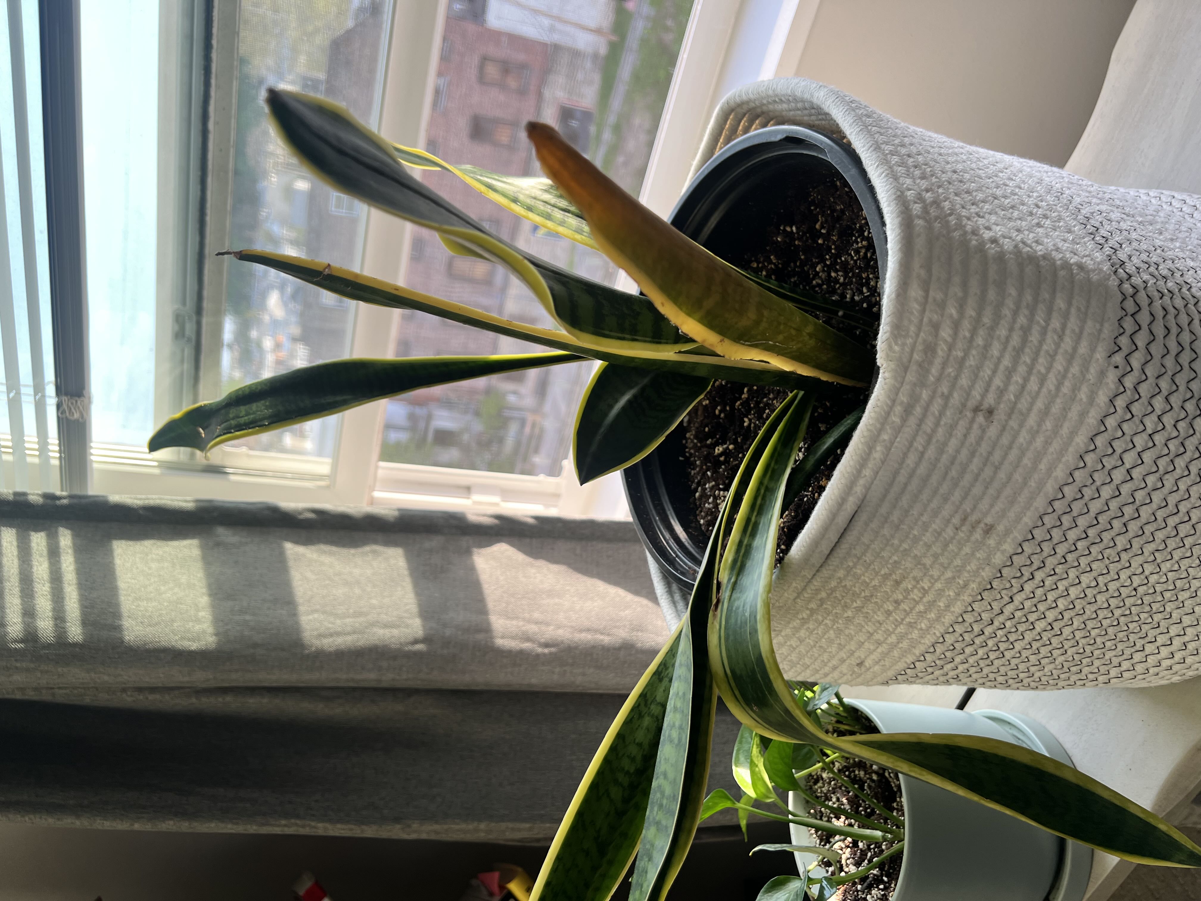 Photo from the post
