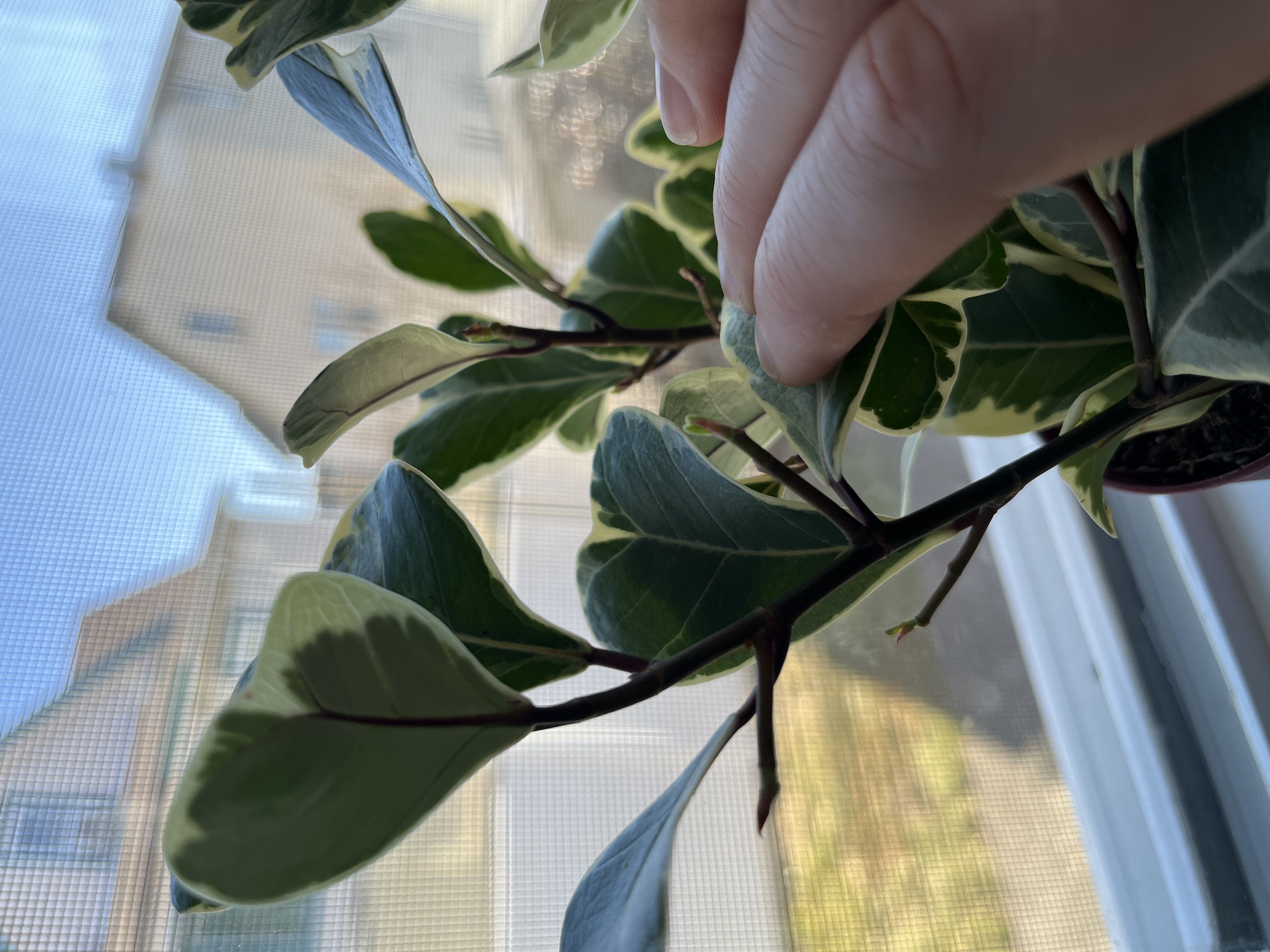 Photo from the post