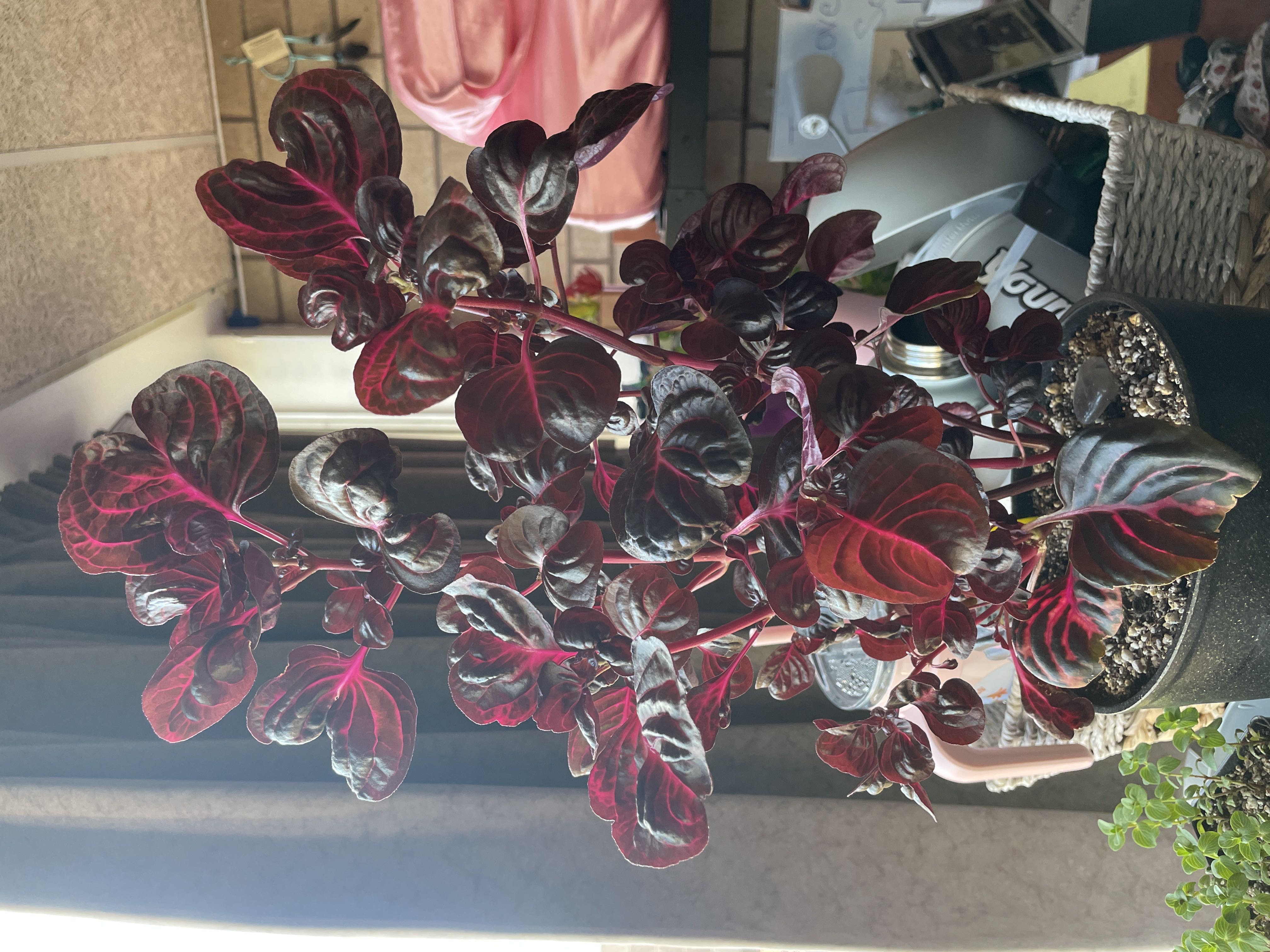 Photo from the post
