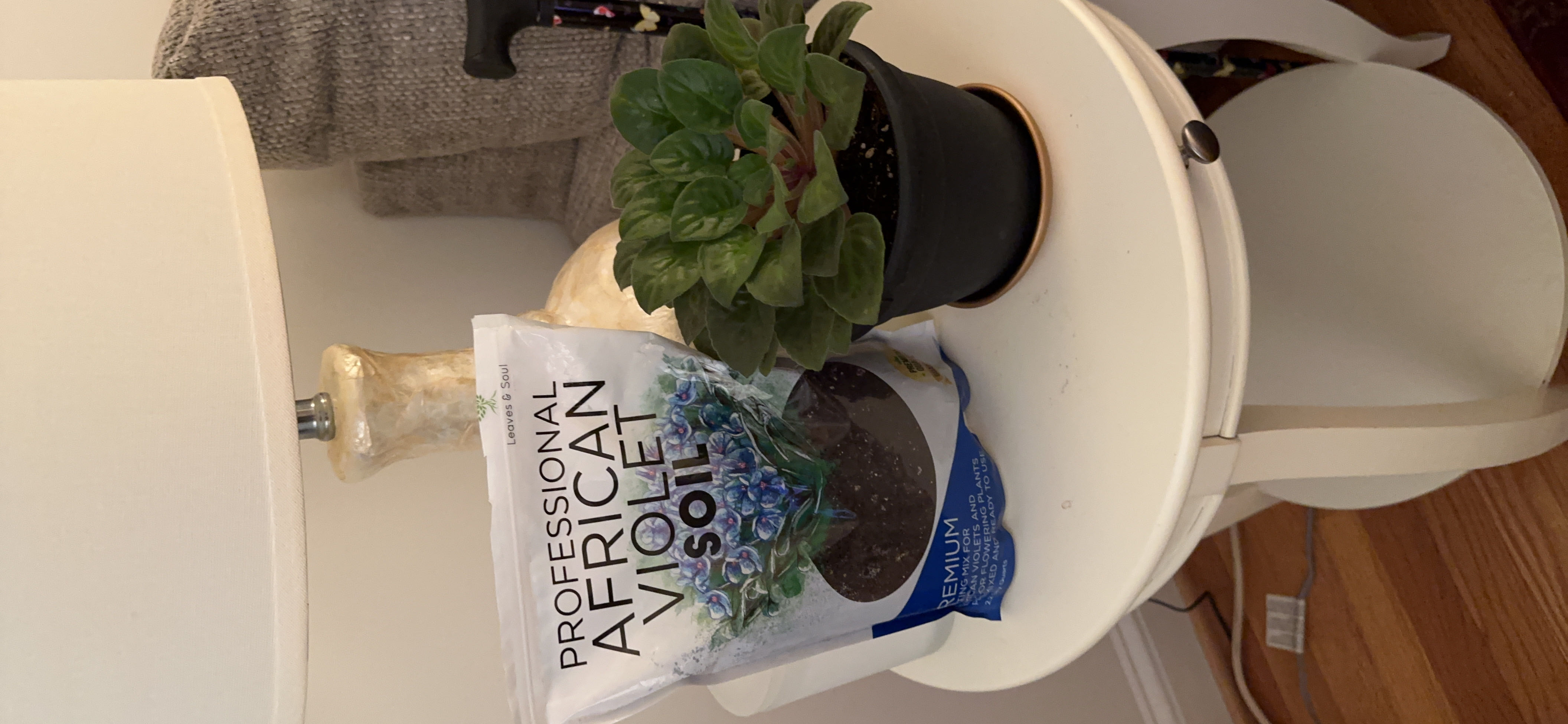Photo from the post
