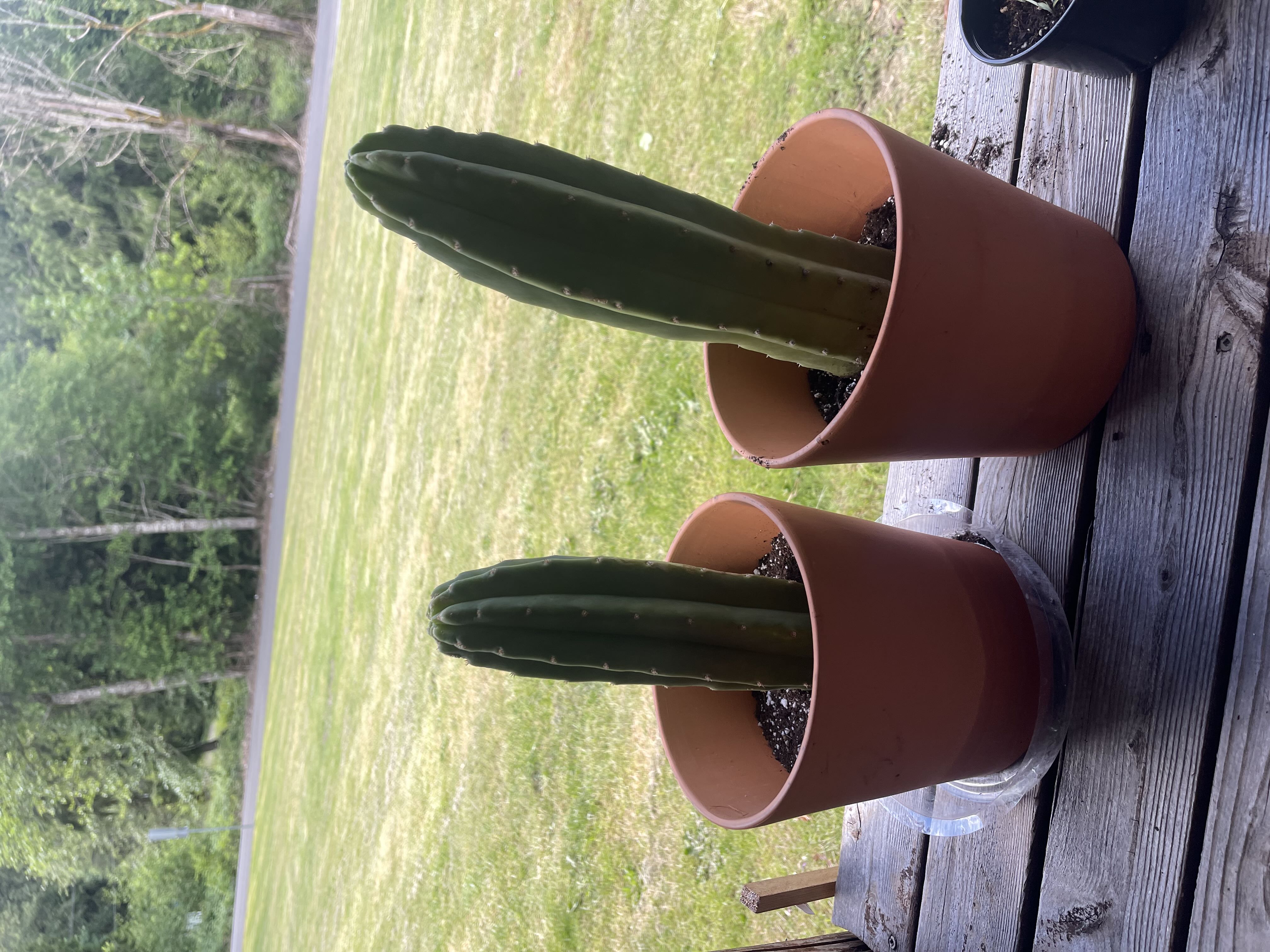 Photo from the post