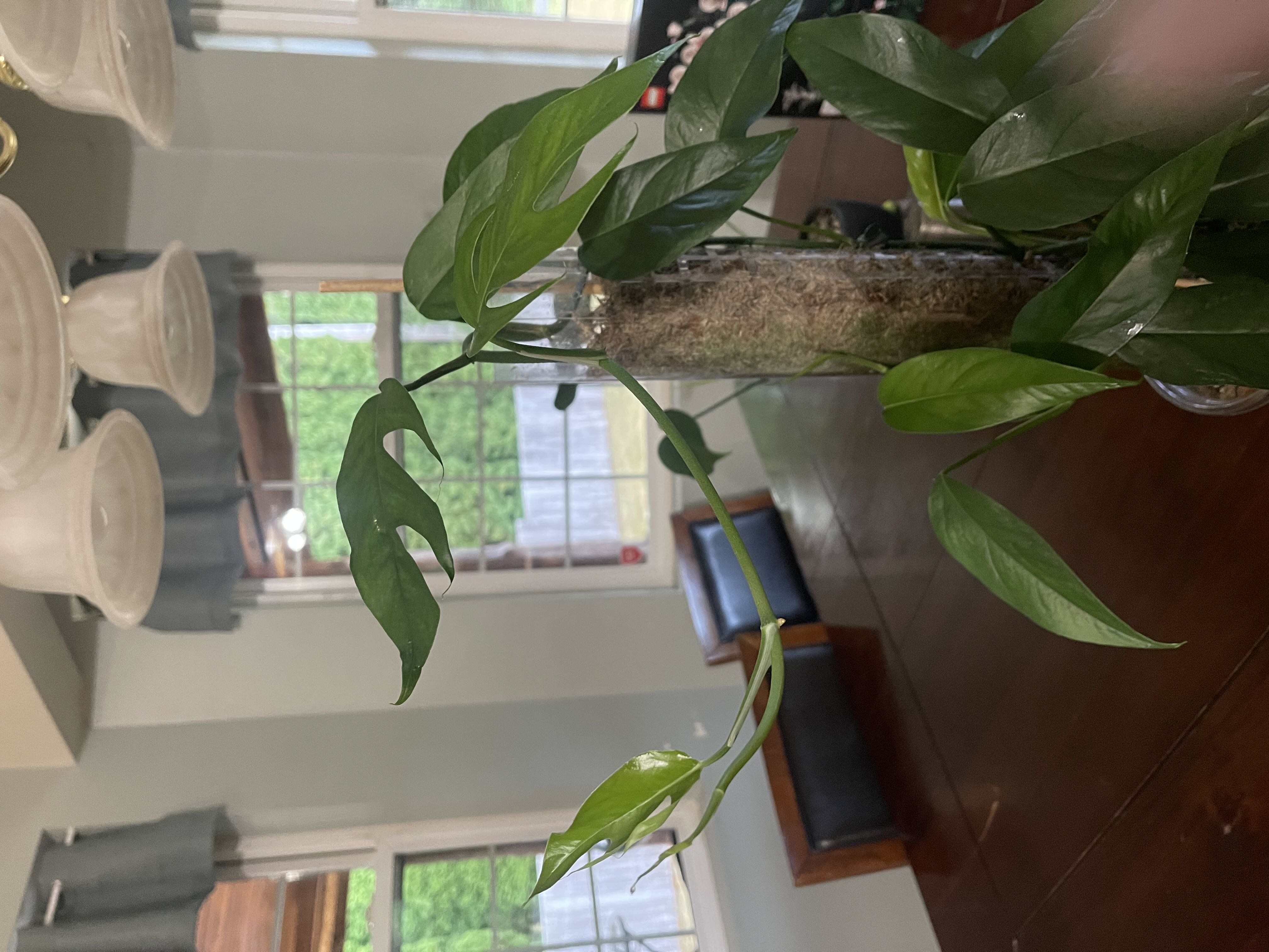Photo from the post