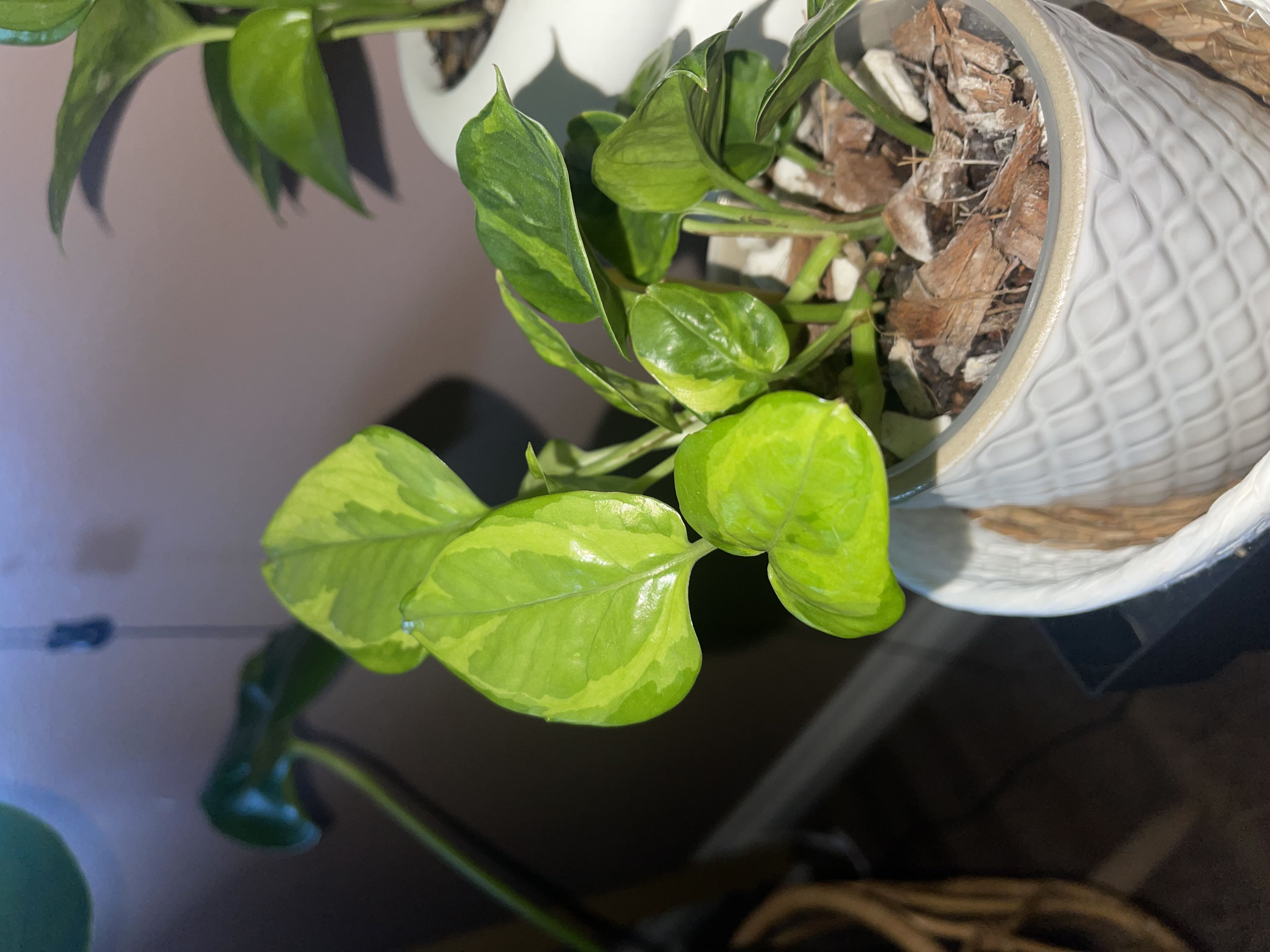 Photo from the post