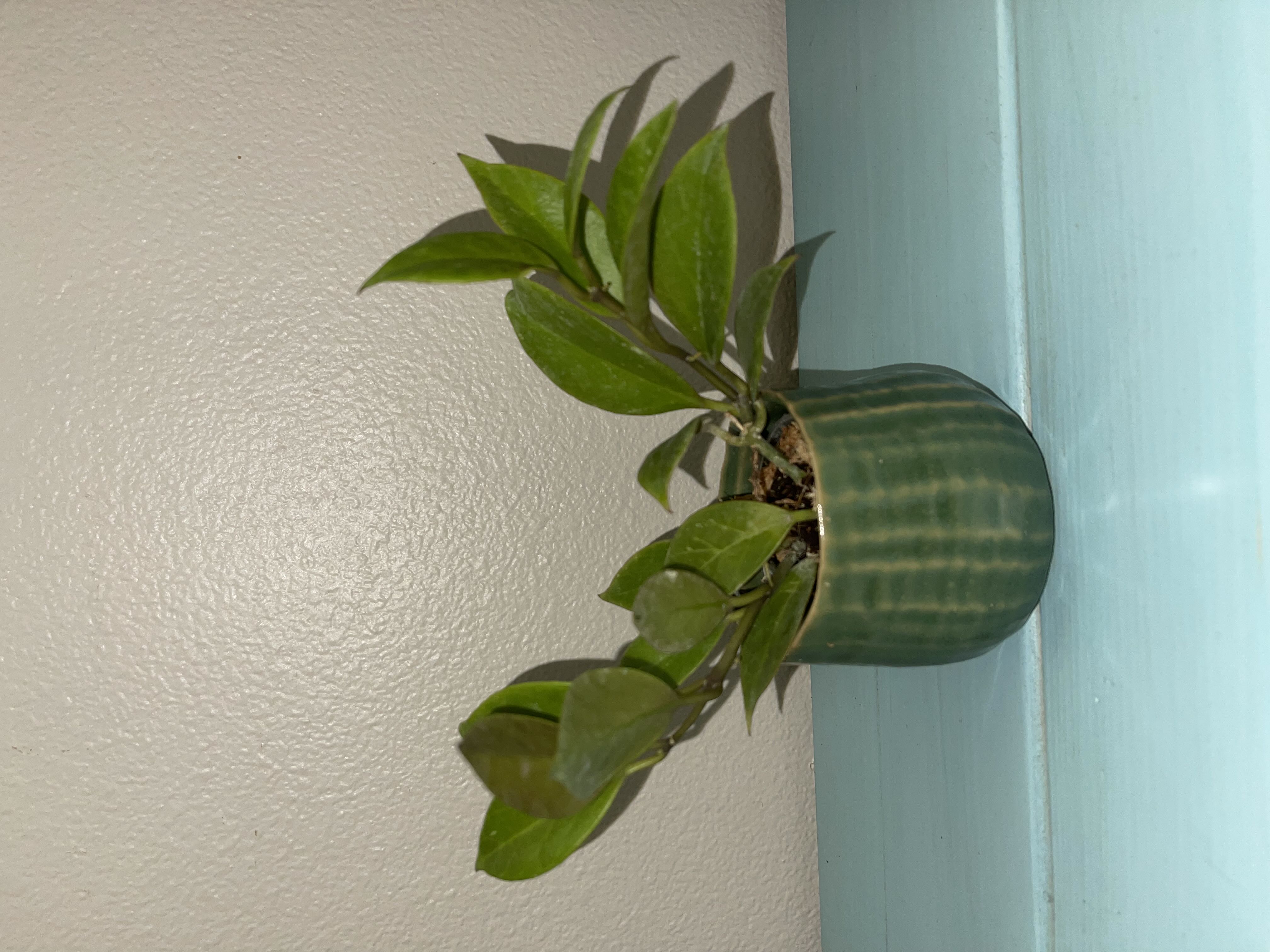 Photo from the post