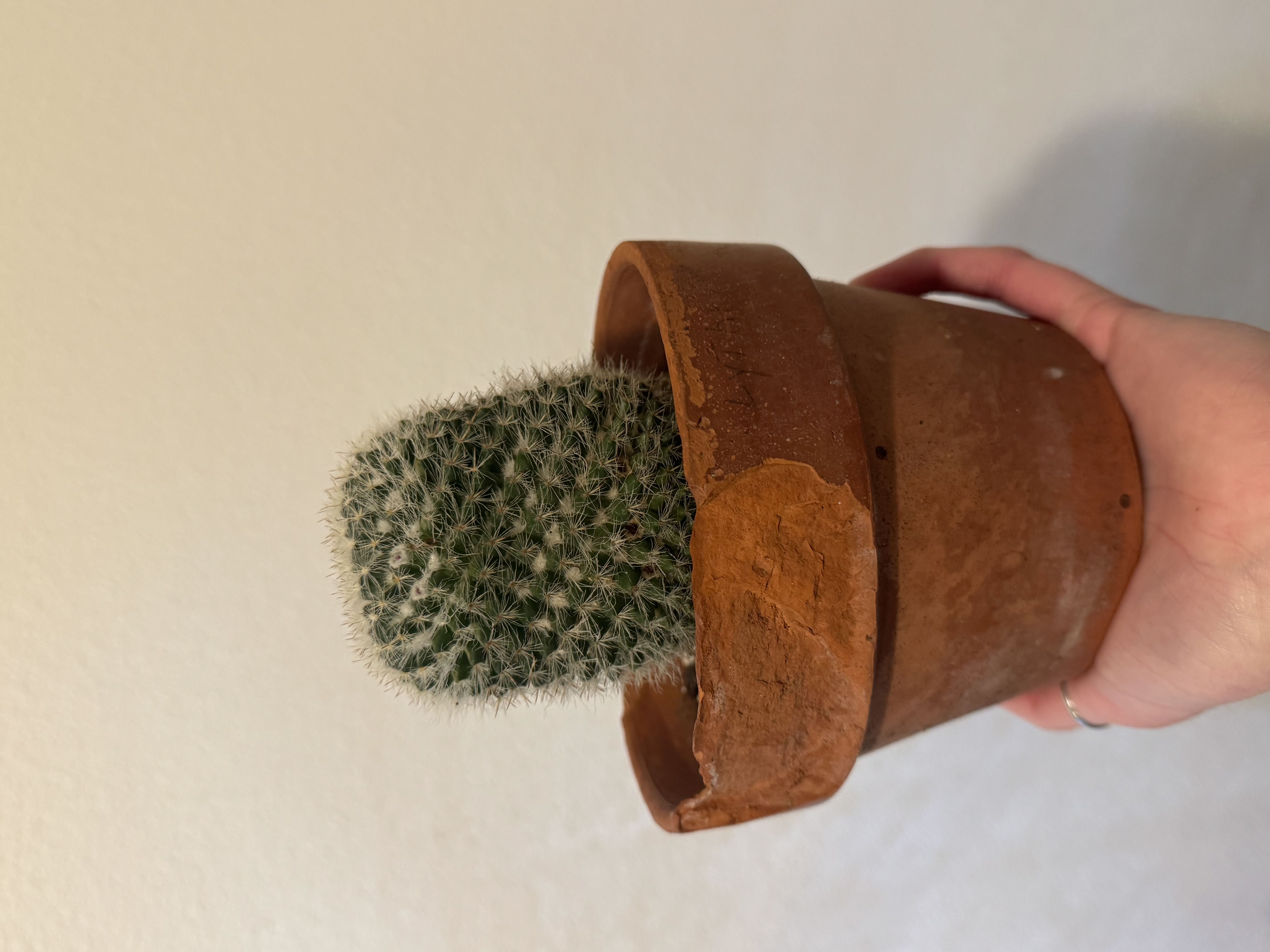Photo from the post