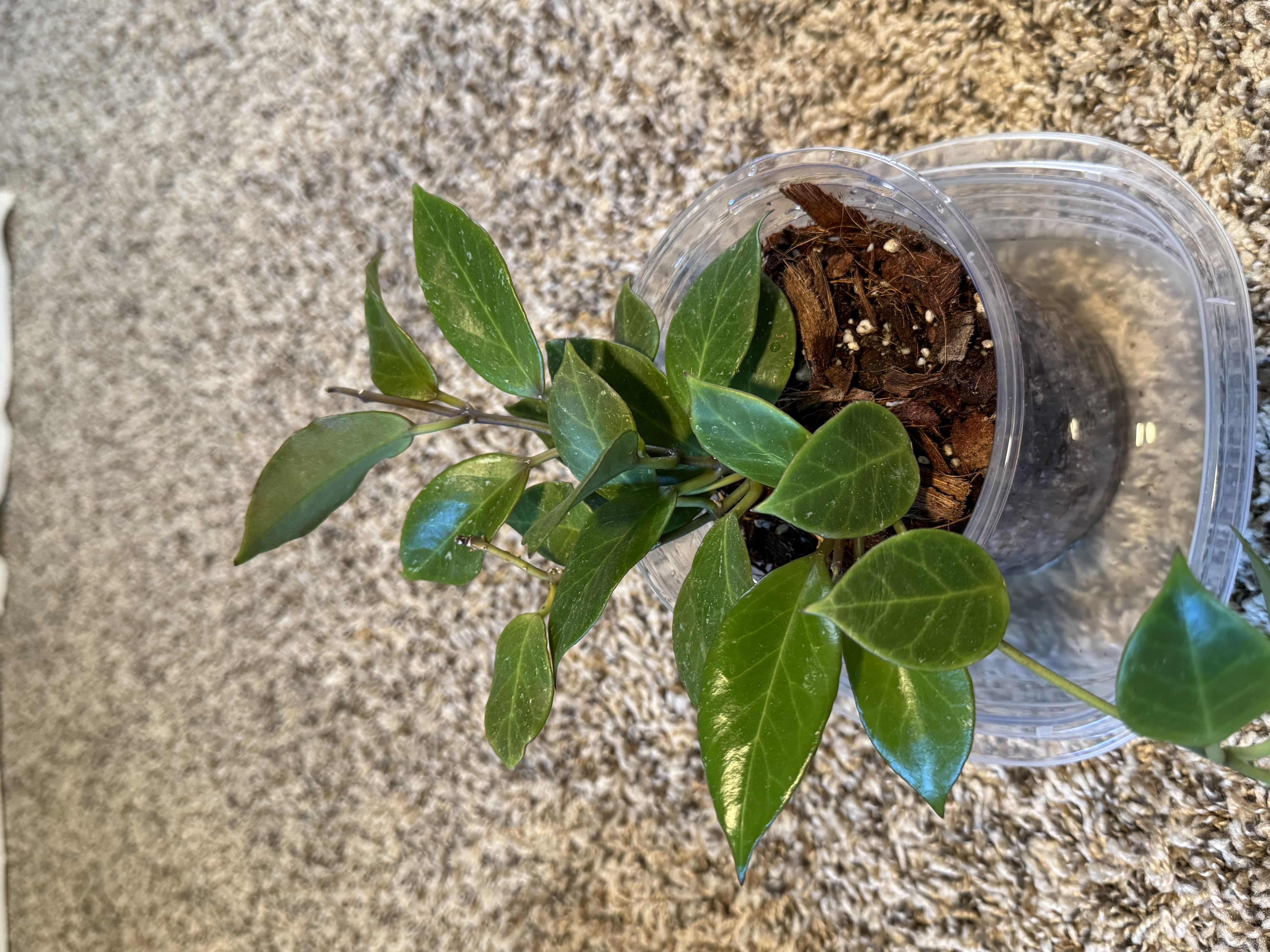 Photo from the post