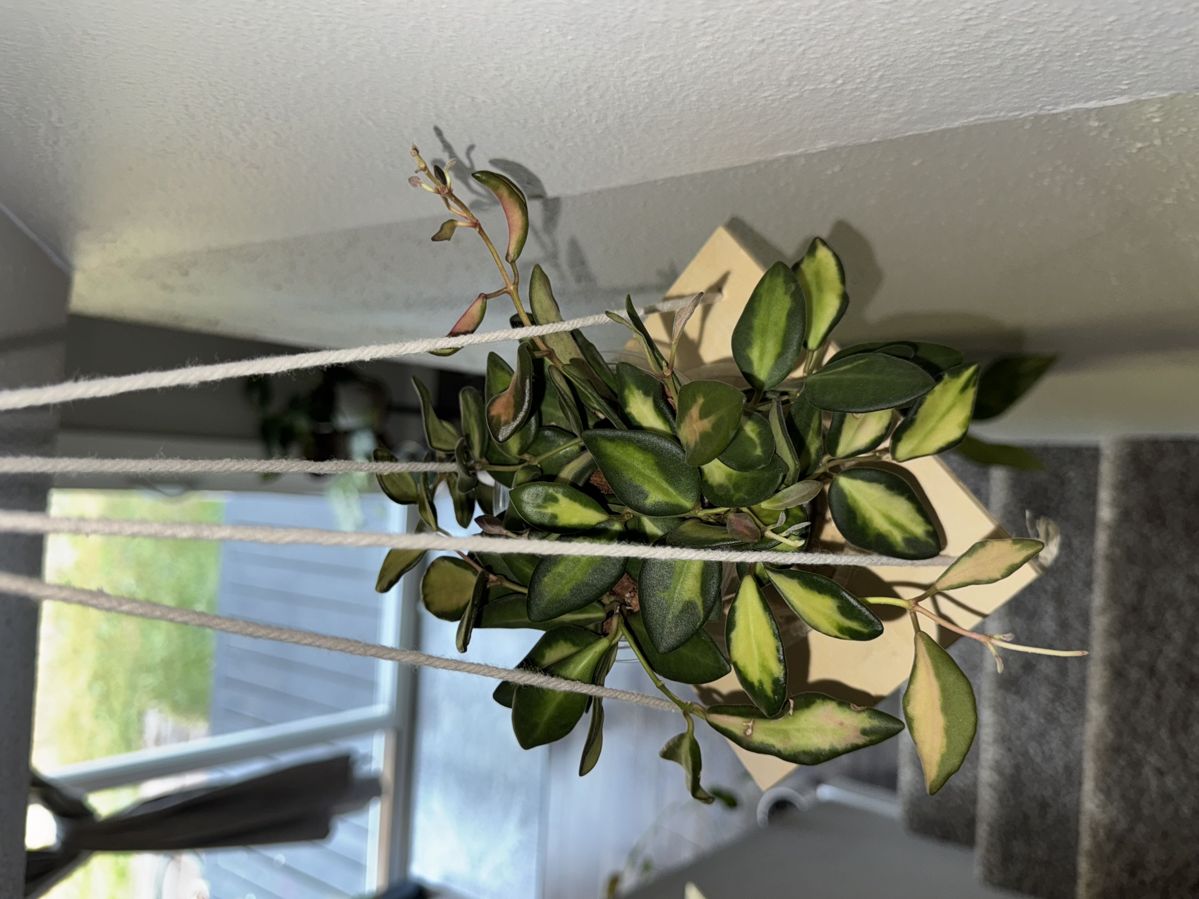 Photo from the post
