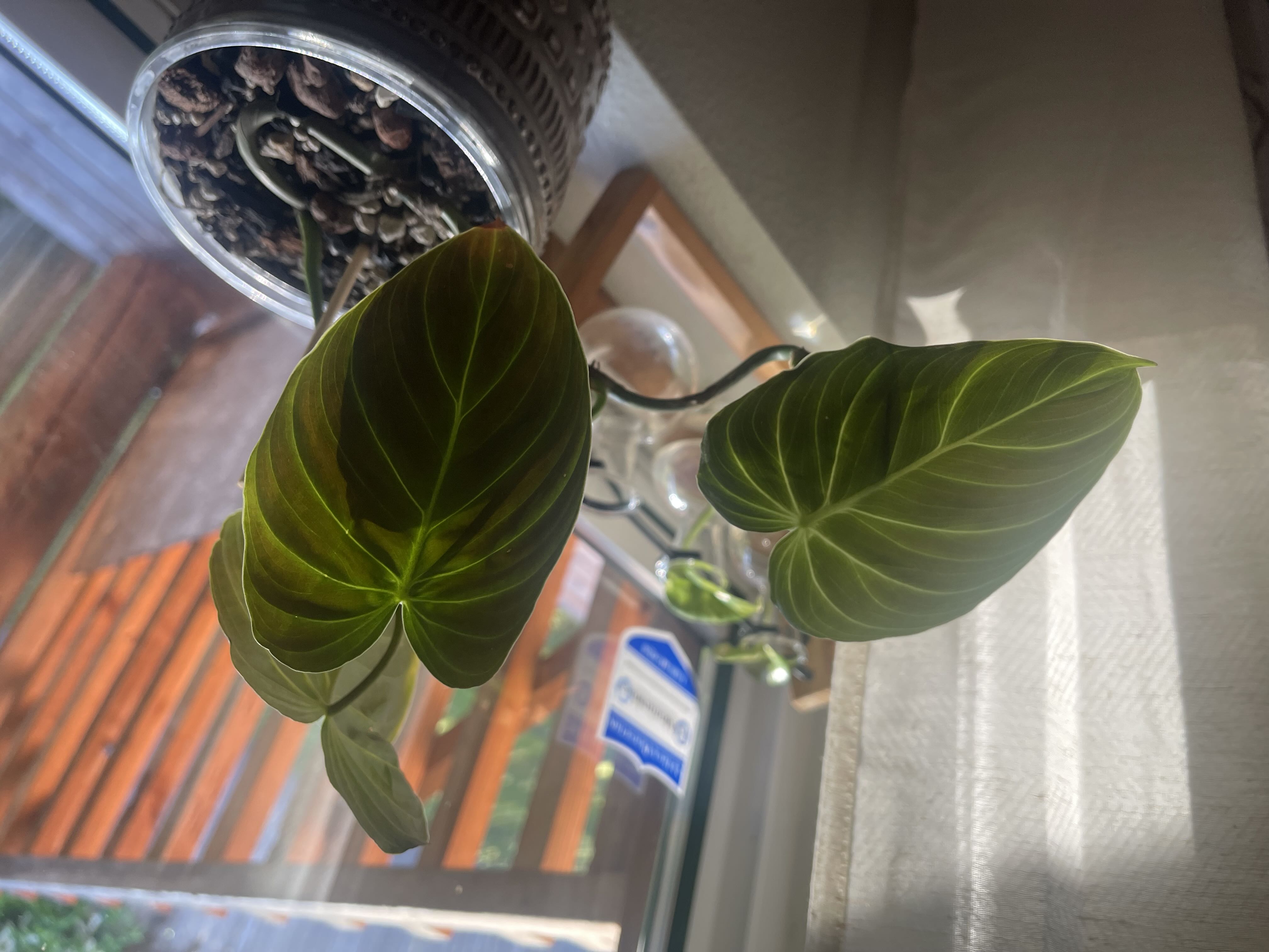 Photo from the post