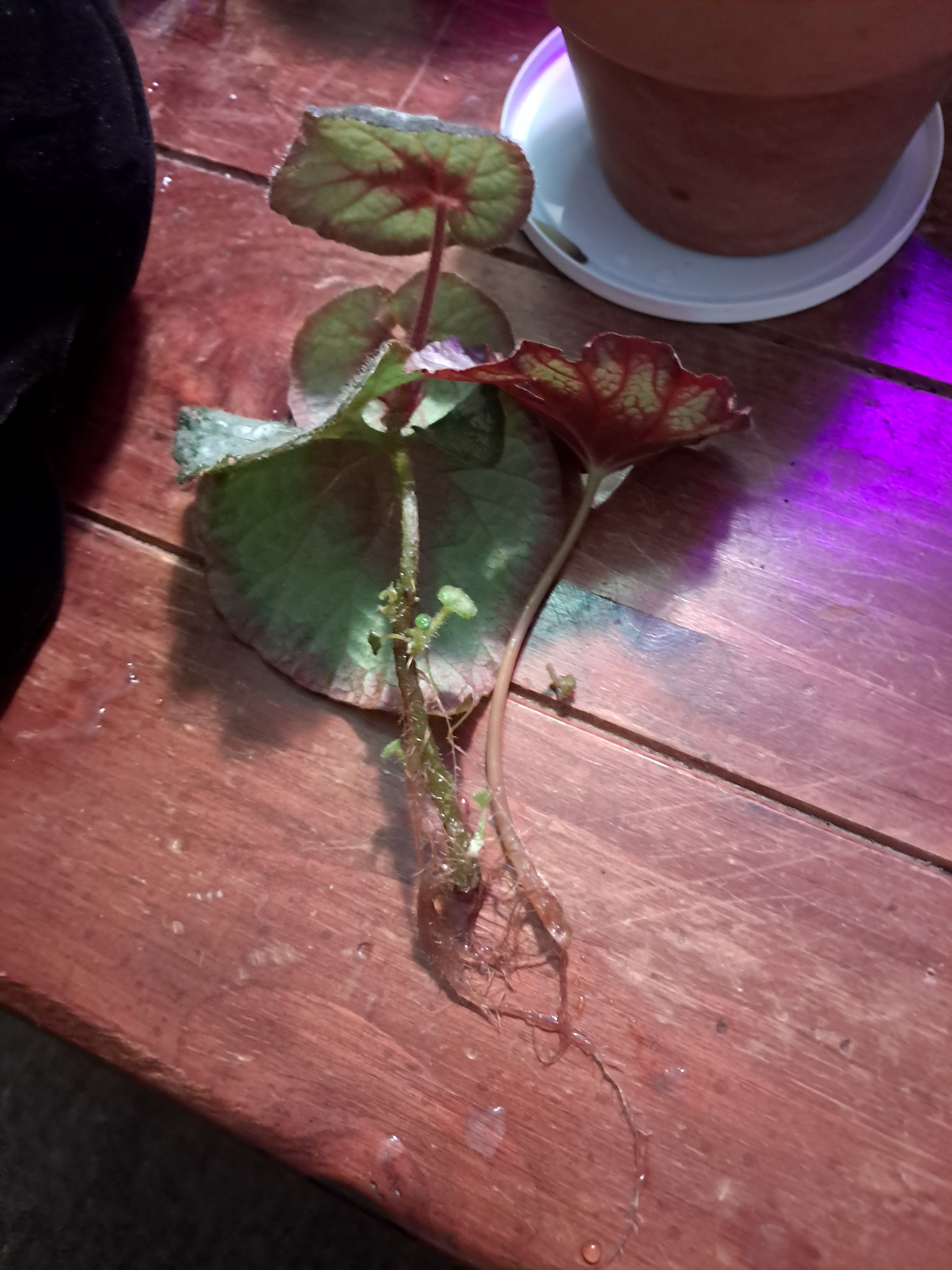 Photo from the post